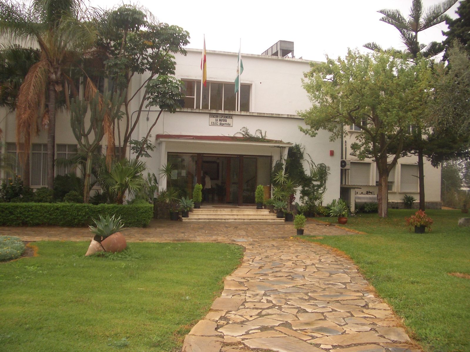 La entrada de La Mayora.