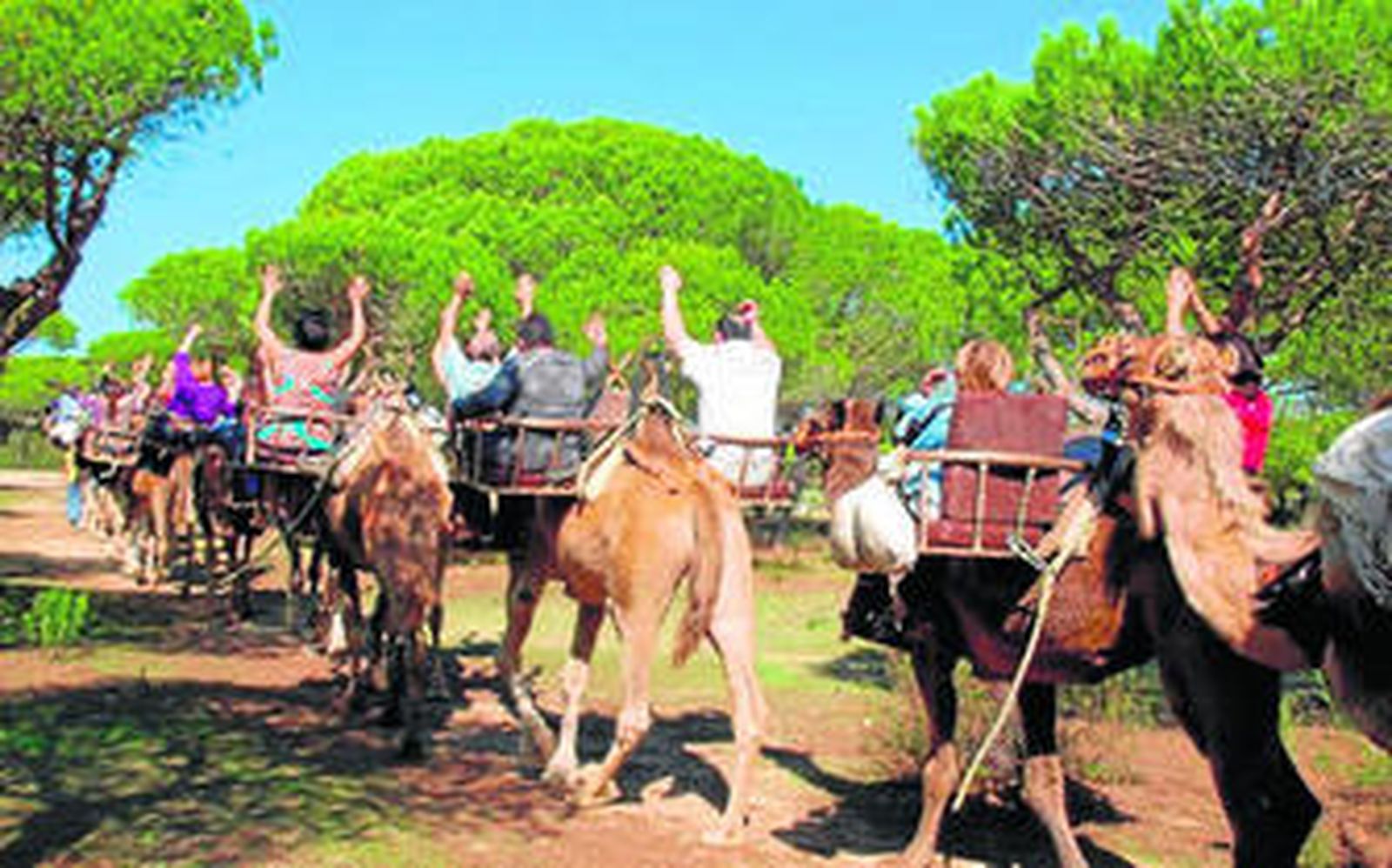El tránsito en dromedarios por los parajes naturales es una de las actividades de la jornada.