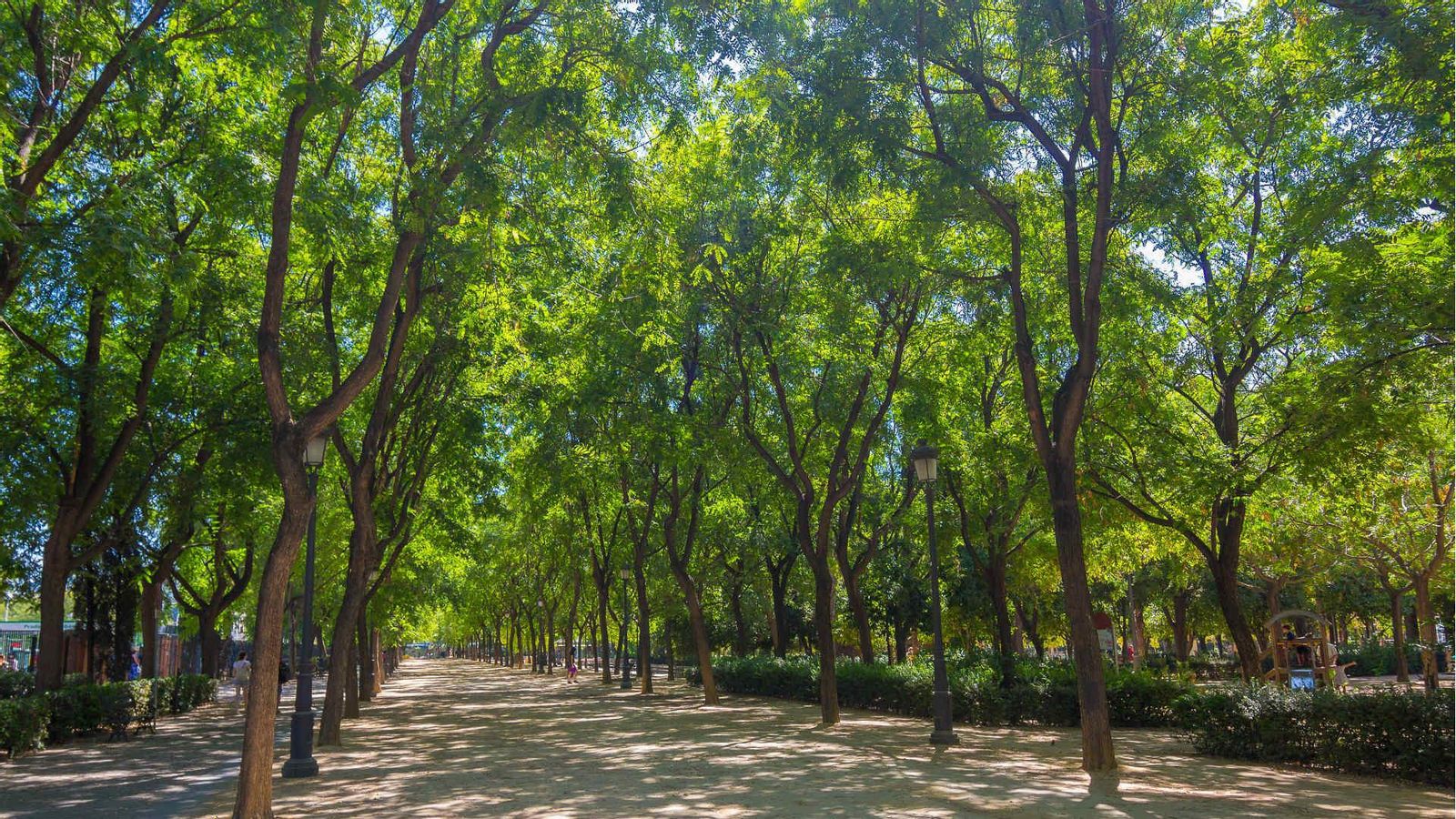 Paseo de los Jardines del Prado de San Sebastián