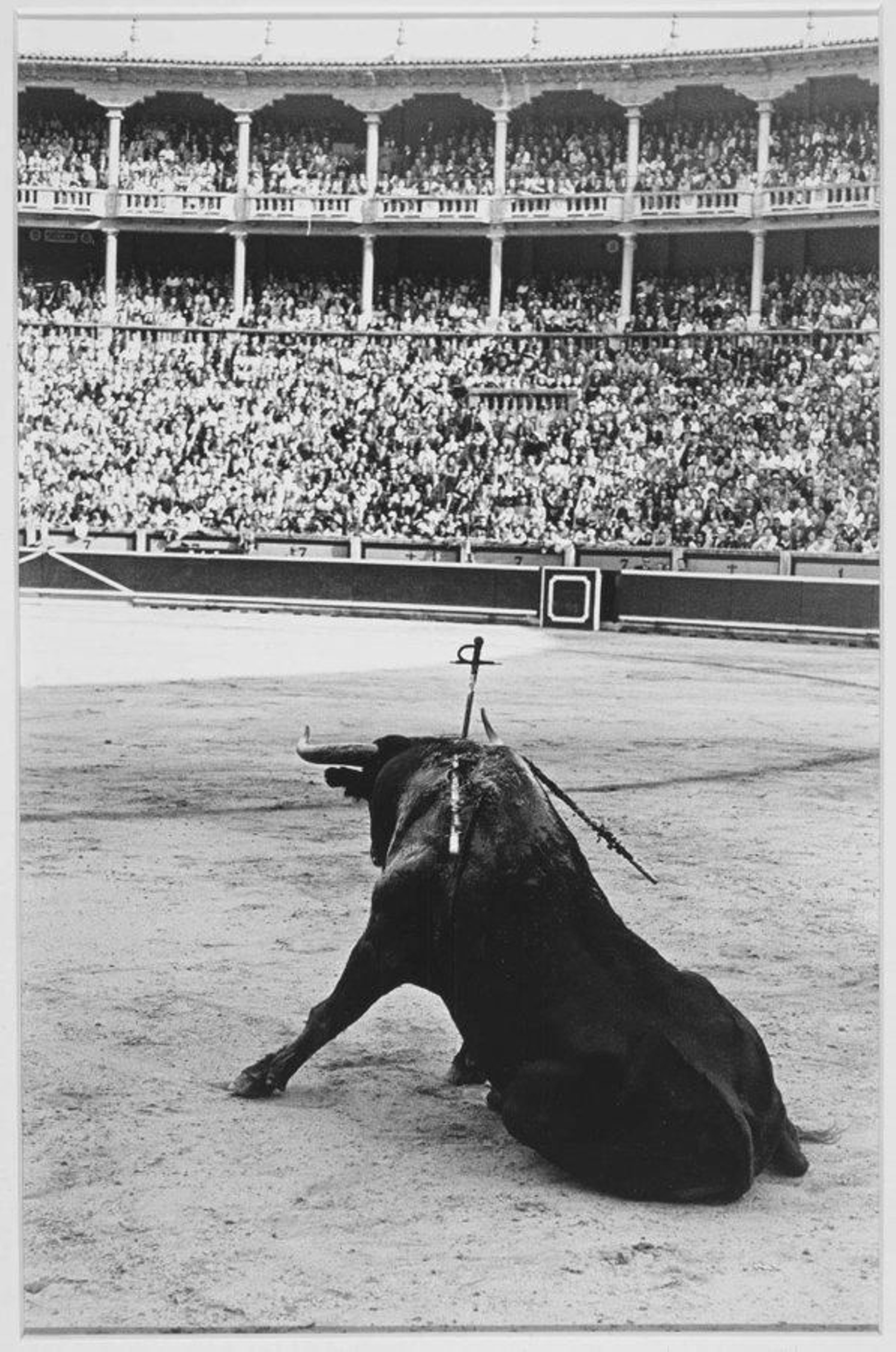 Imagen de la plaza de Pamplona, antes de la reforma de Moneo, en la célebre fotografía de Ramón Masats. Imagen de la plaza de Pamplona, antes de la reforma de Moneo, en la célebre fotografía de Ramón Masats.