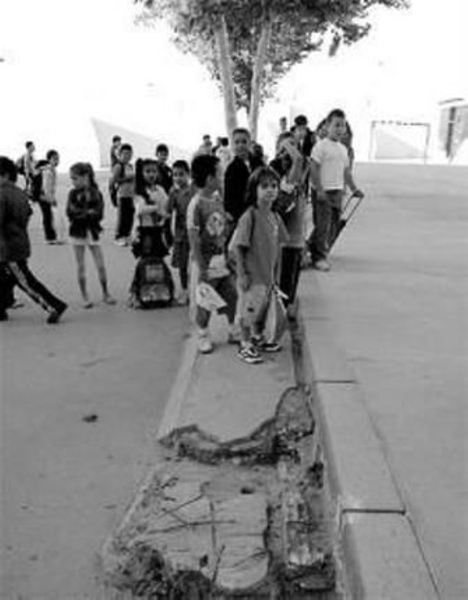 1. Clases de apoyo por la tarde en el instituto Fuente Piña. 2. Los padres del colegio Juan Ramón Jiménez denuncian que existen muchas irregularidades en el acabado de las obras. 3. Las escaleras de seguridad del colegio Reyes Católicos es una de las preocupaciones de los padres por el peligro que dicen que entraña. 4. Los padres cada vez acuden menos a las reuniones de la Ampa y con los profesores.