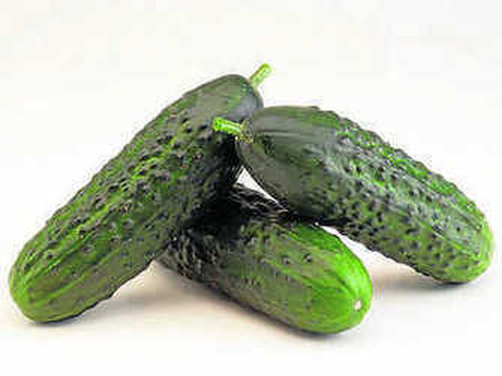 Alpita F1 de Nunhems.