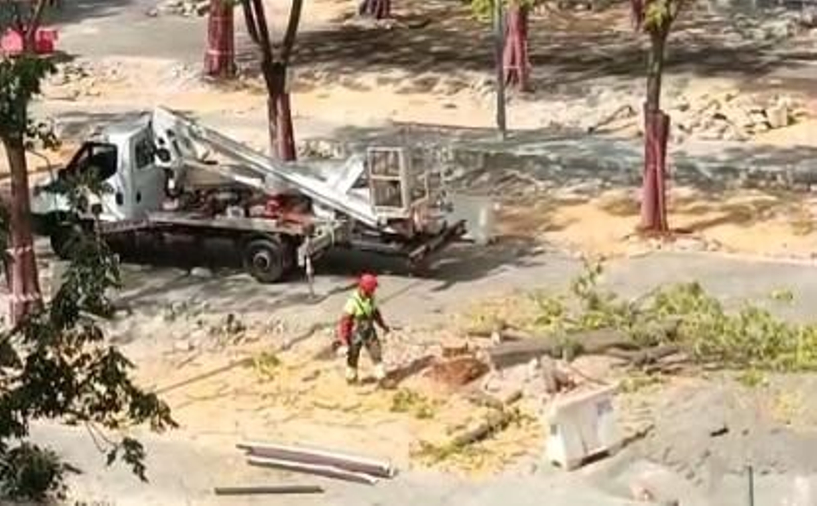 Tala de árboles en la plaza de la Fuensanta de Sevilla Este