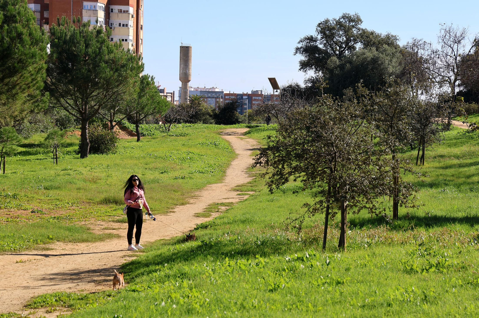 Imágenes del domingo 8 de diciembre en Huelva
