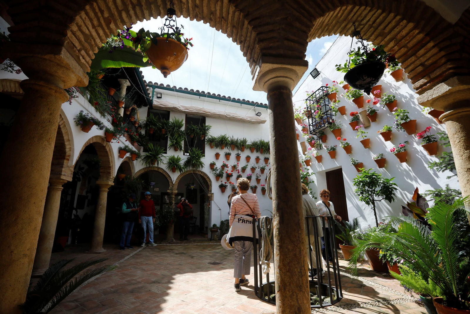 Los patios de Córdoba de la ruta Judería-San Francisco, en imágenes