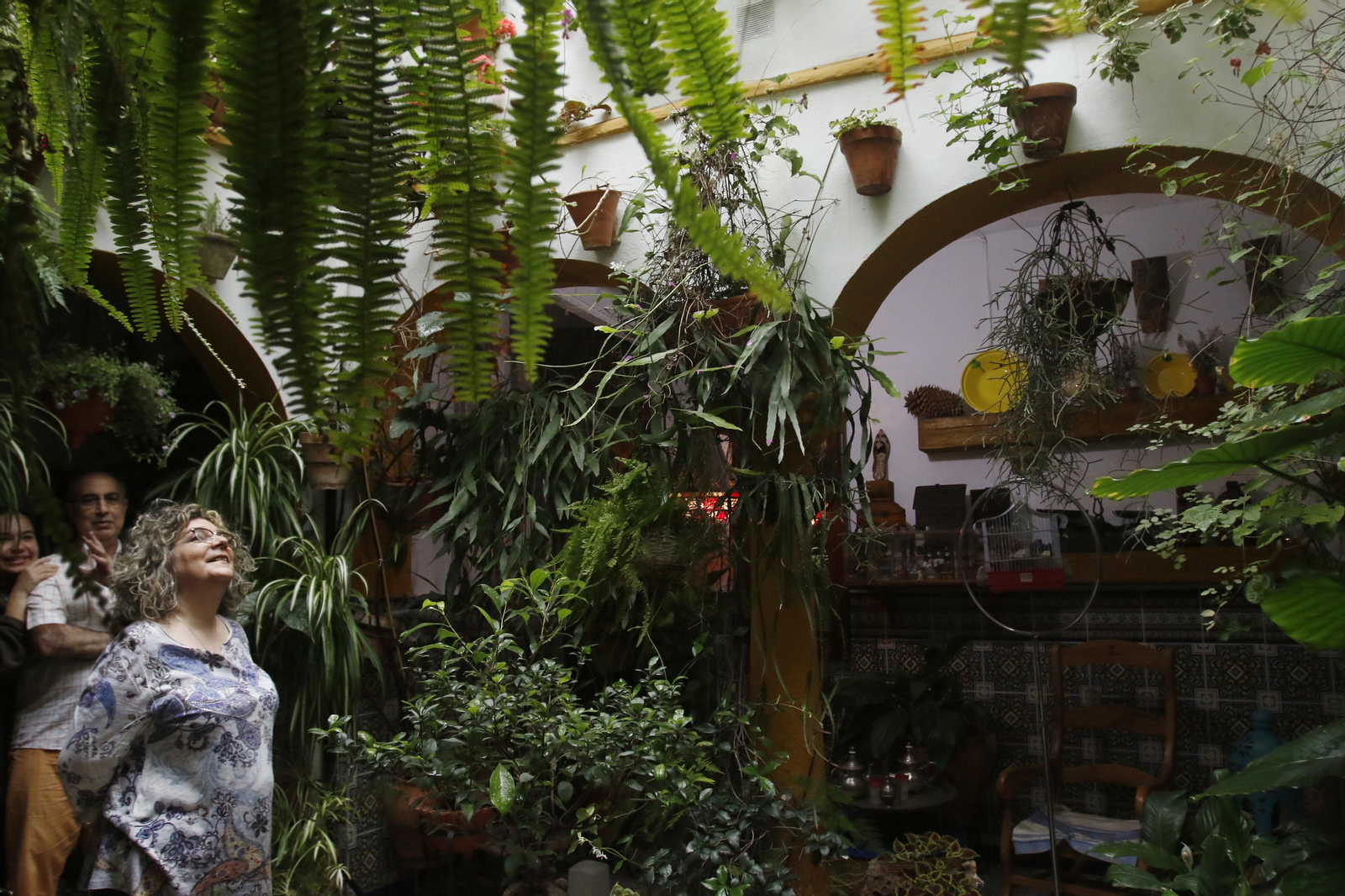 Los Patios de Córdoba en tiempos de crisis: Alfonso XII, 29