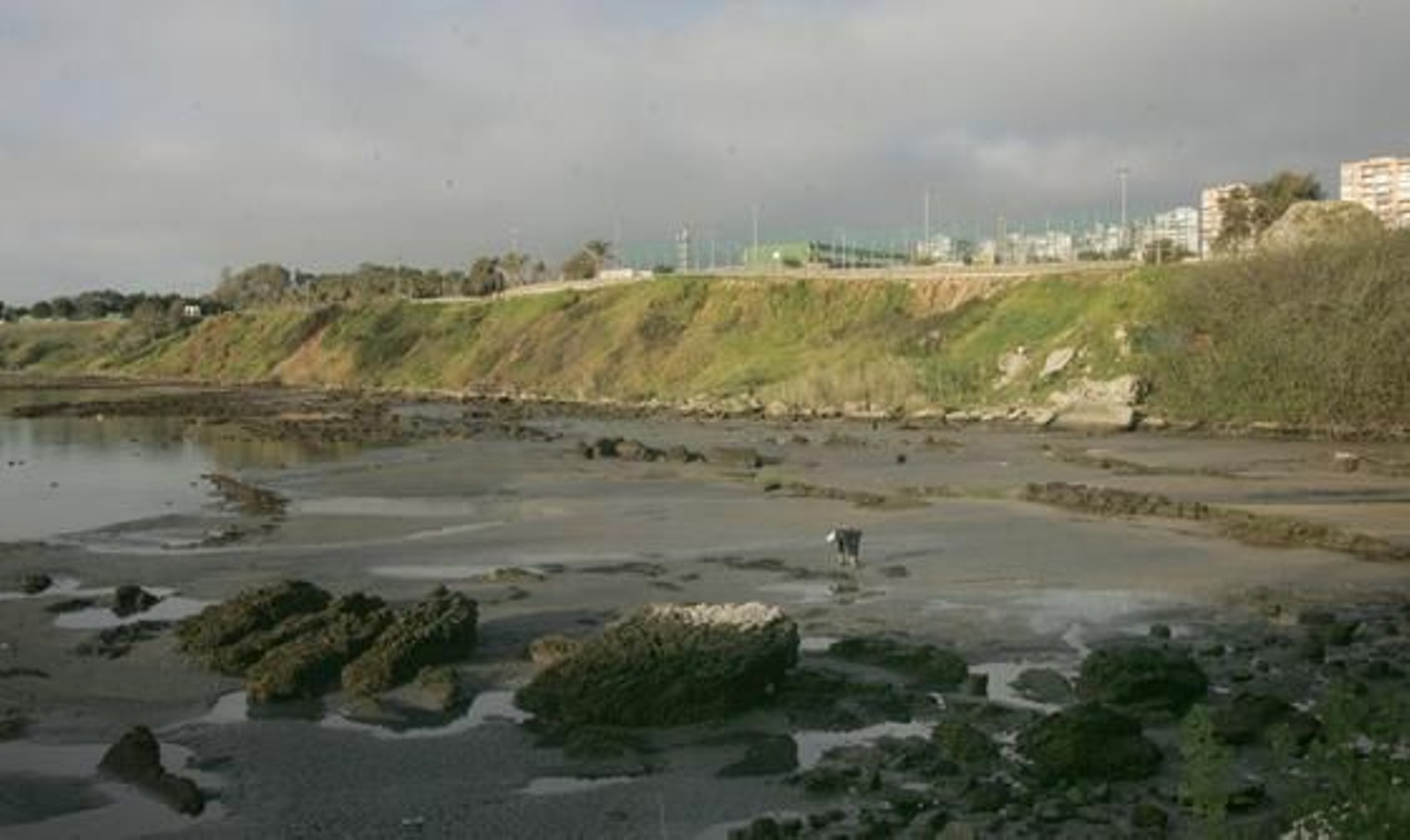 La marea histórica se vivió en las playas del Campo de Gibraltar con mucha espectación, sobre todo en la de Poniente de La Línea y El Rinconcillo de Algeciras./Fotos:Paco Guerrero/Shus Terán/J.M.Quiñones

Foto: Paco Guerrero/J.M.Q./Shus Teran/