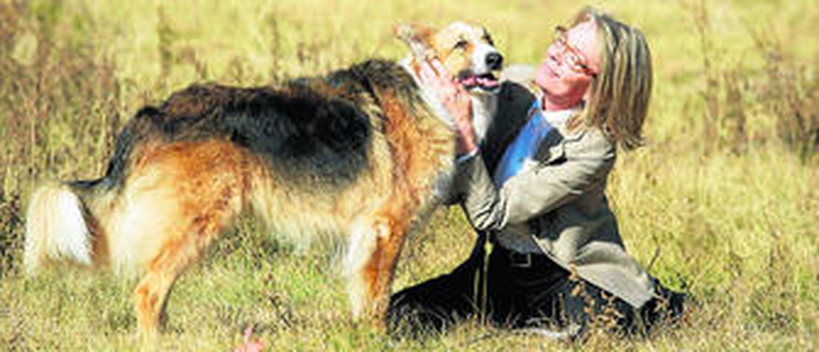 El perro tiene un protagonismo singular en la última película de Lawrence Kasdan.