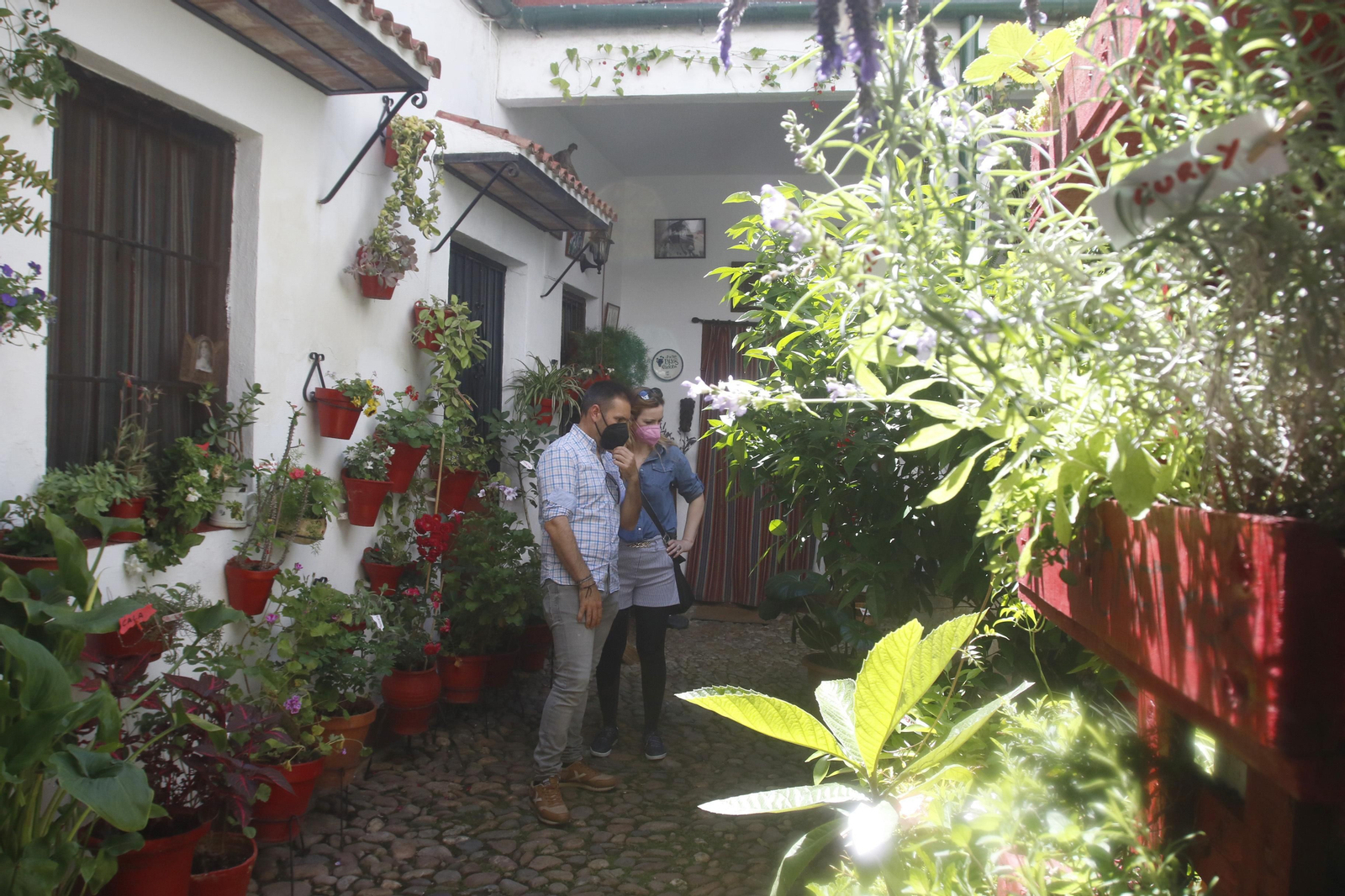 Ruta San Lorenzo de los Patios de Córdoba, en imágenes