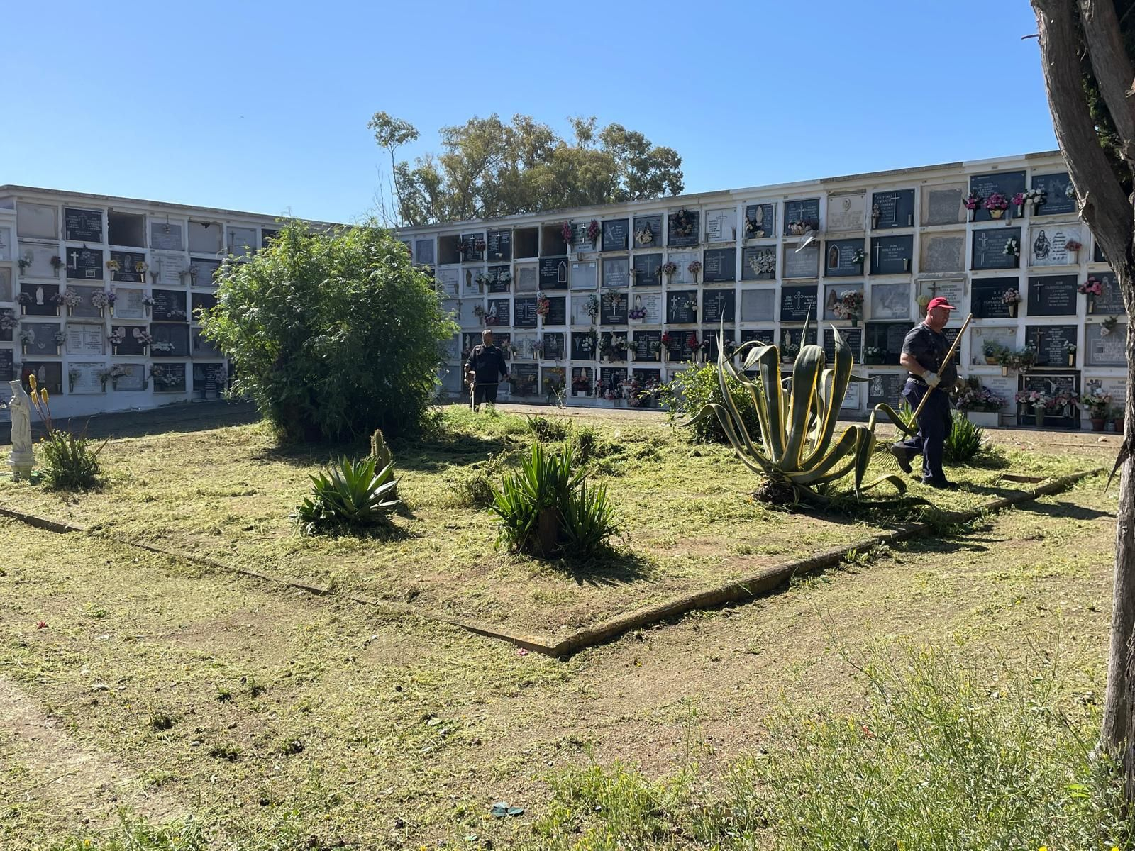 Trabajos de jardinería en el Cementerio de Jerez.