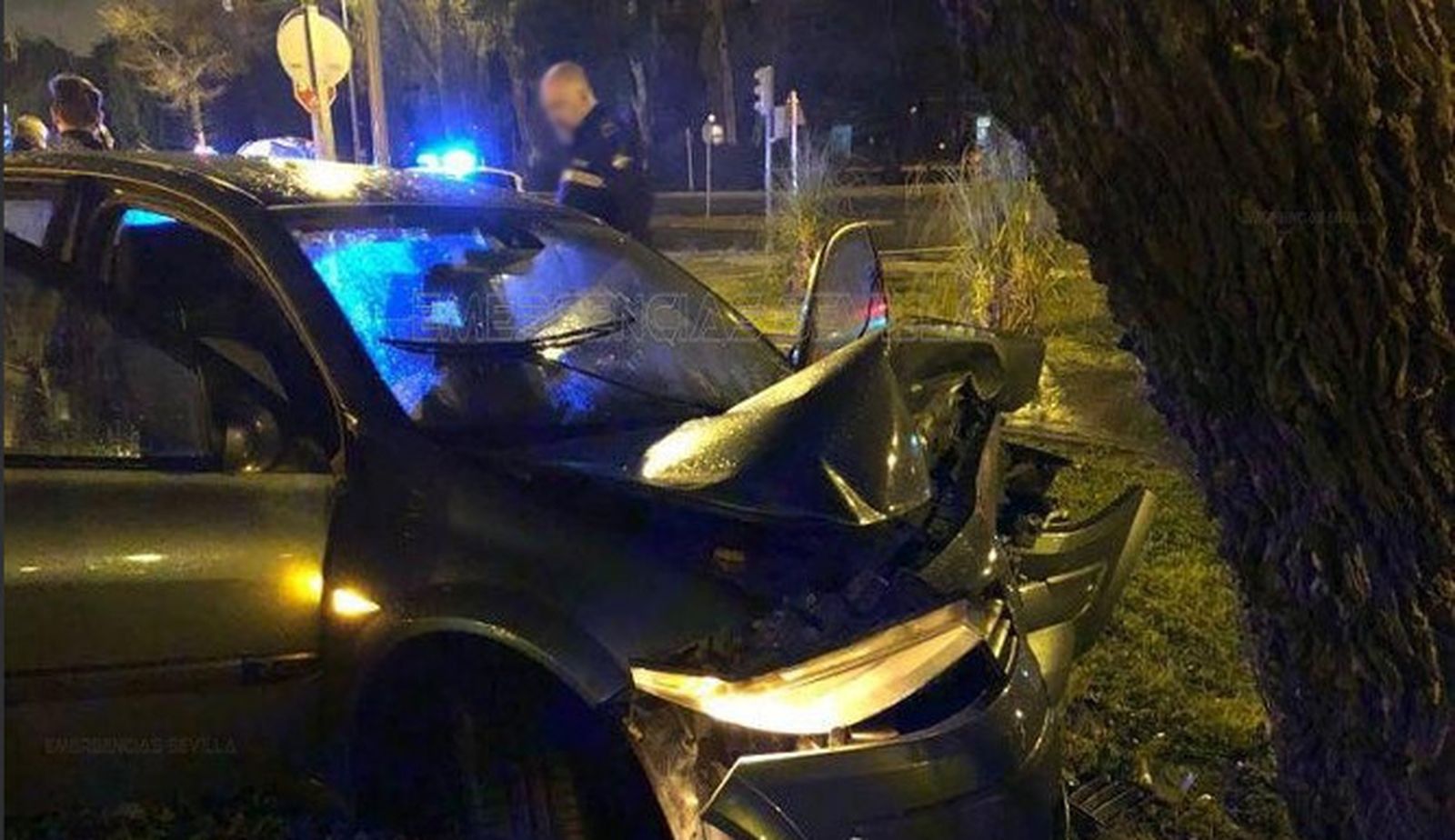 El vehículo empotrado contra un árbol por un conductor que duplicaba la tasa de alcoholemia permitida en Sevilla.