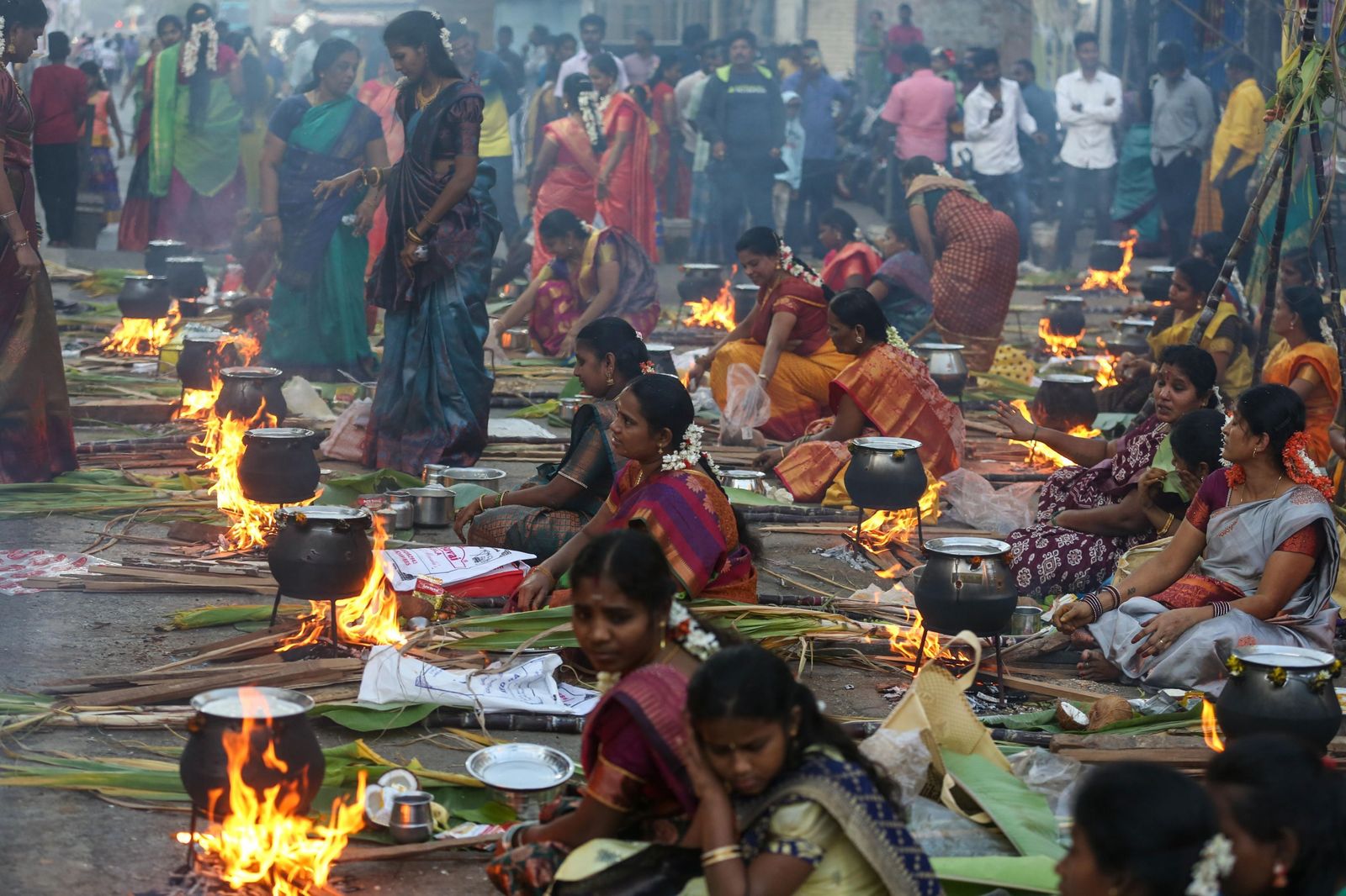 Las preciosas imágenes del Festival Thai Pongal en India