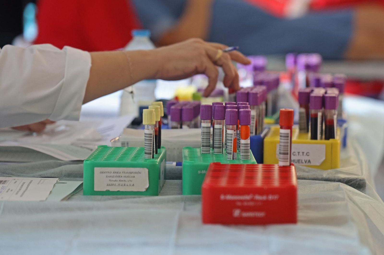 Imágenes de la macrocolecta de sangre y plasma en la Casa Colón