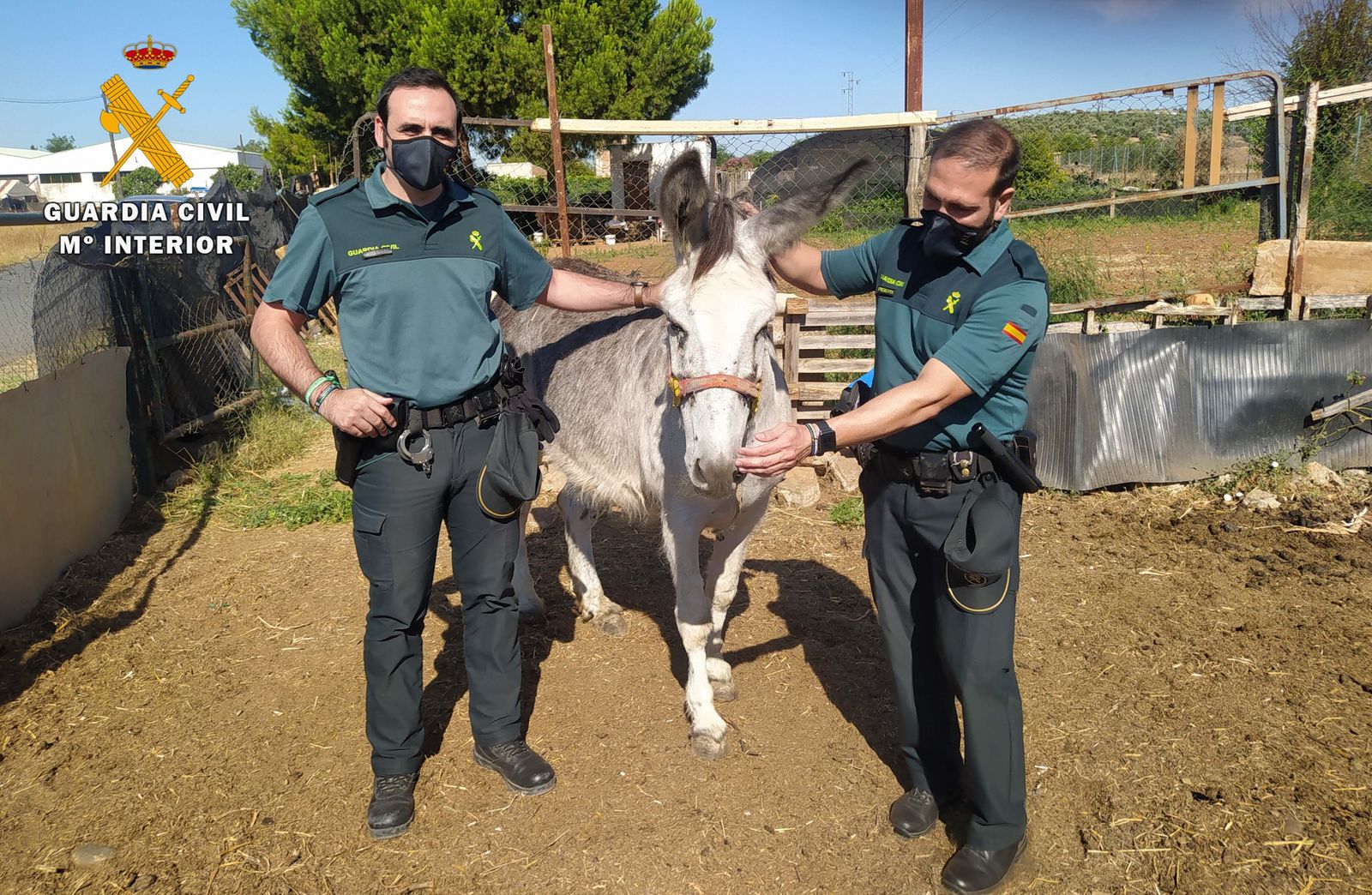Los agentes, junto al burro rescatado en Villa del Río.