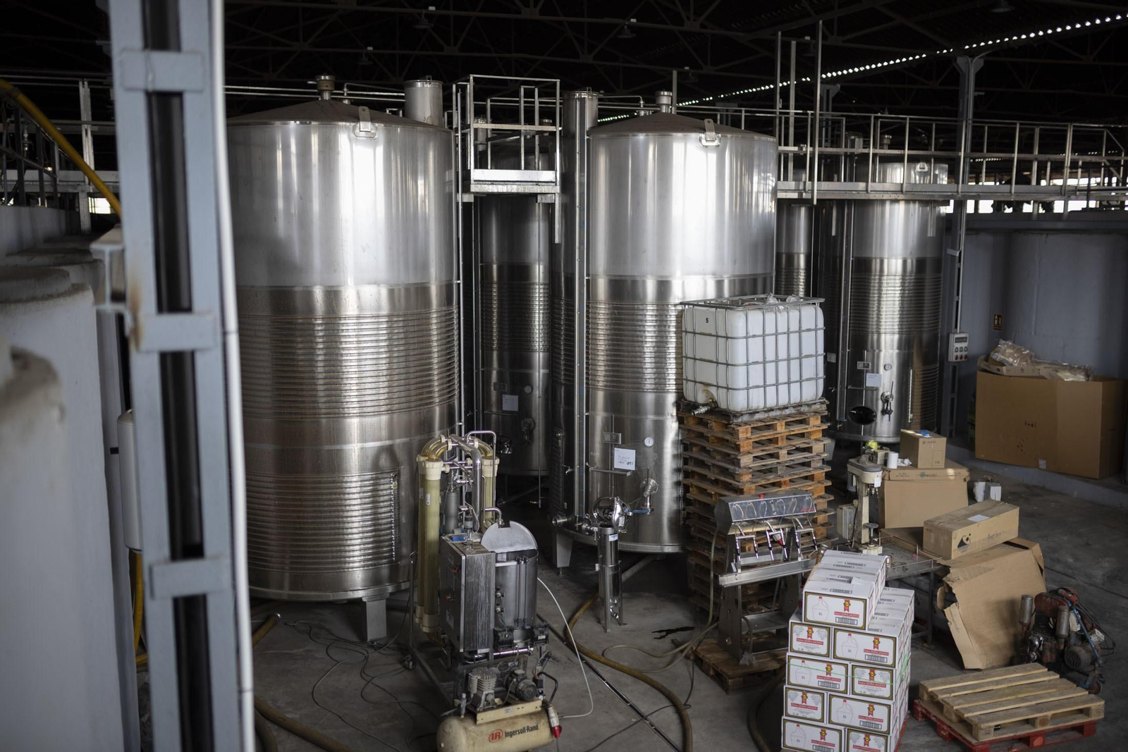 Imágenes de la vendimia en el Condado de Huelva