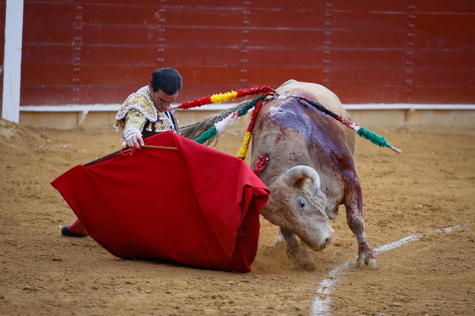 Imágenes de la corrida de toros en Roquetas de Mar