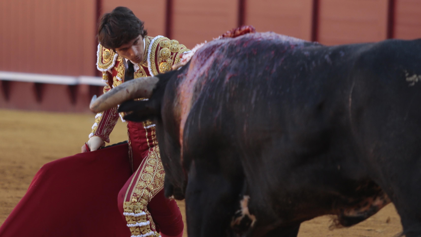 Las imágenes de la corrida de Los Miura