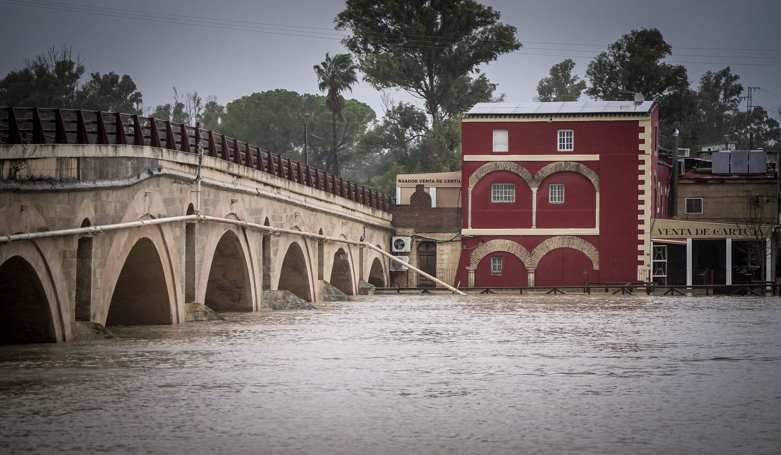 Imágenes de las graves consecuencias de la crecida del rio Guadalete en la zona rural de Jerez