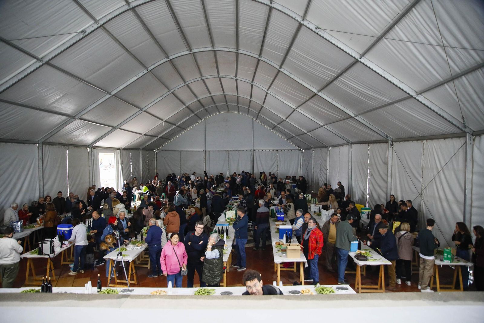 XXIX Cata de Vinos Artesanos de Benahadux