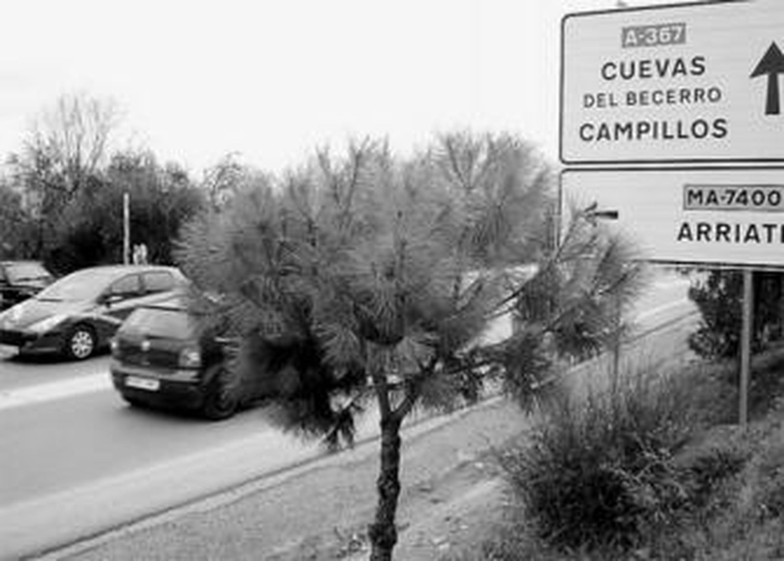 Vista del cruce de la A-367 hacia Arriate.