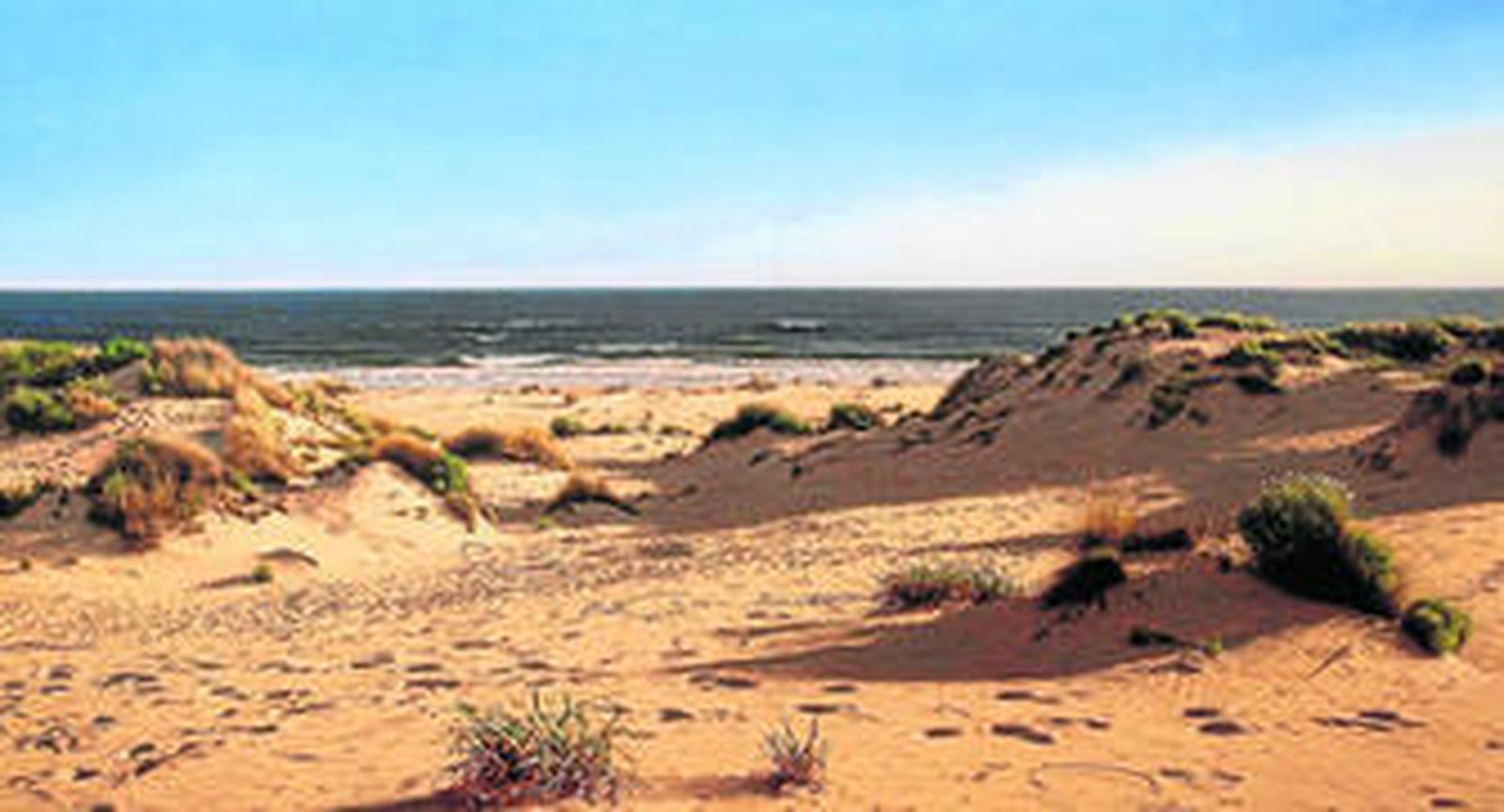 'Sea Chamomile' es el título de esta obra que presentará en la galería Bernarducci Meisel de Nueva York.