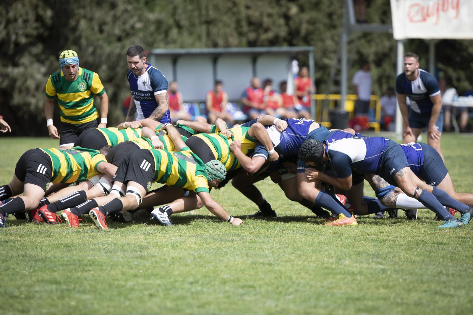 Las mejores fotos del partido del ascenso a División de Honor B de rugby entre Universidad de Granada y Portuense