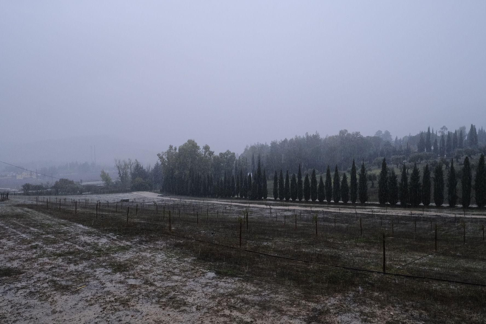 La Serranía de Ronda esta mañana.
