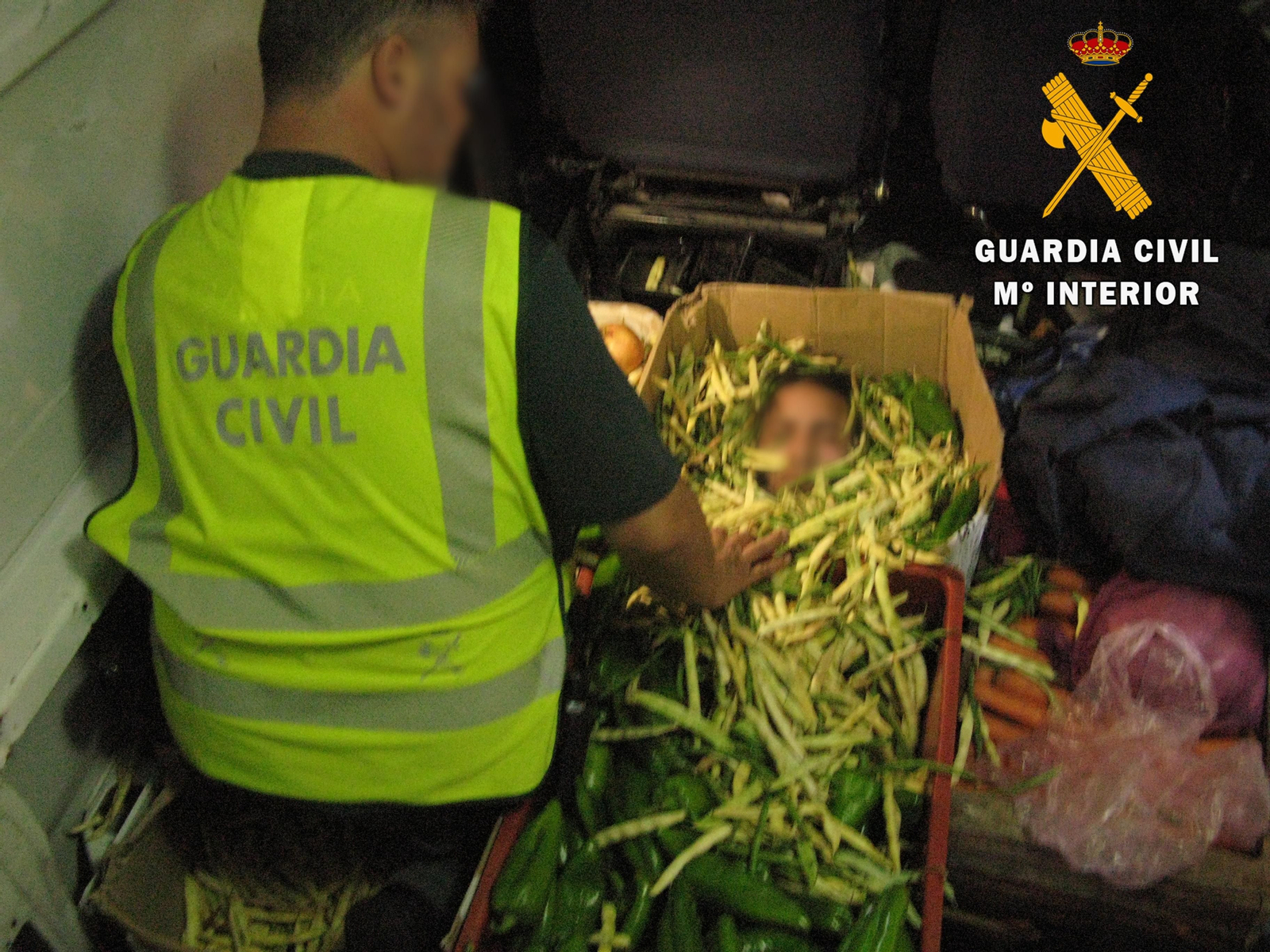 Un polizón intenta entrar en Almería en una caja de hortalizas por el Puerto