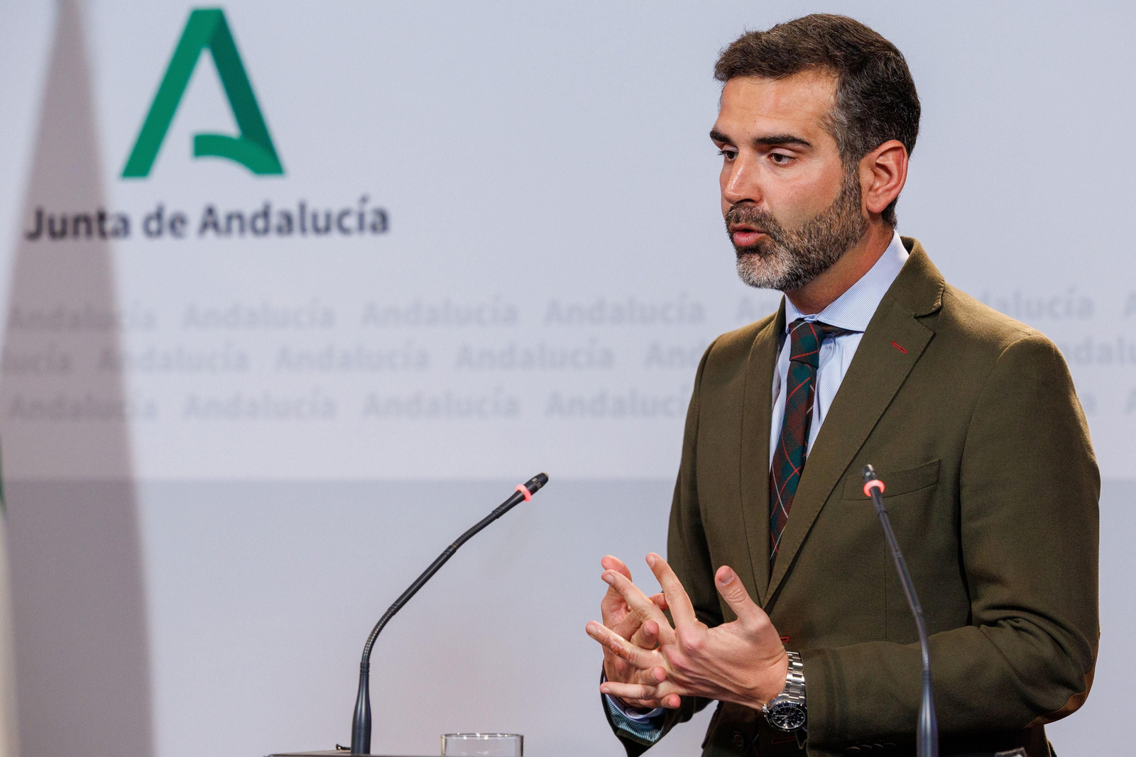 El consejero de Economía, Ramón Fernández-Pacheco, en el pasado Consejo de Gobierno.