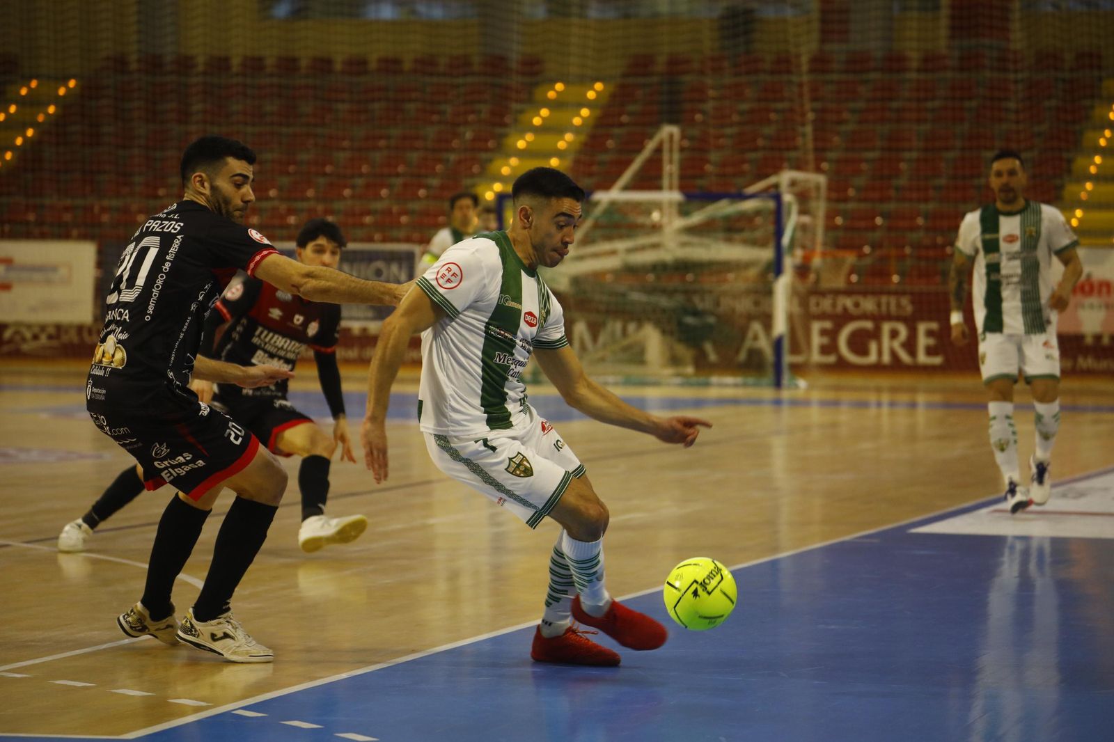 Las mejores fotos del ambiente en Vista Alegre para el Córdoba Futsal - Noia