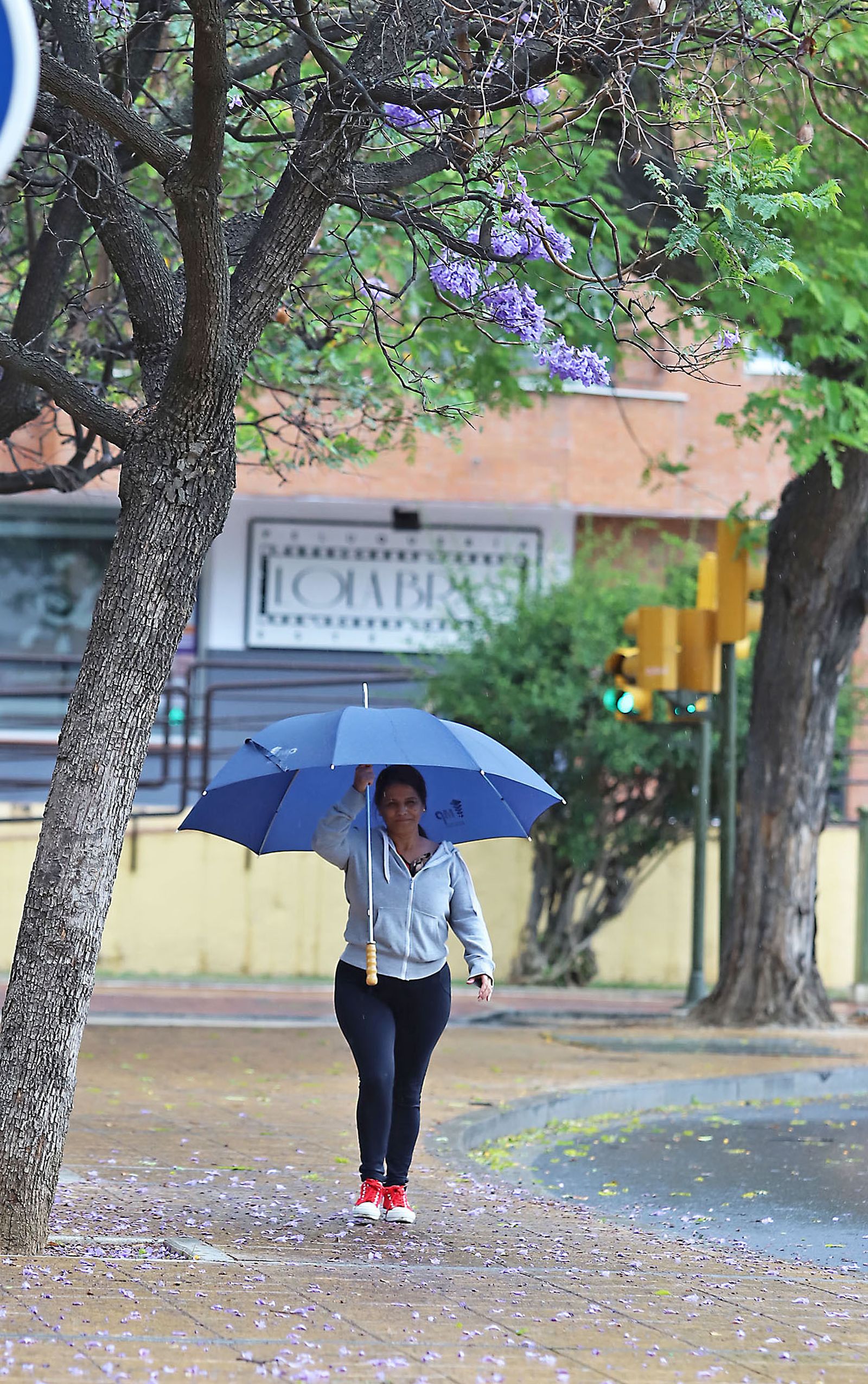 La lluvia en la jornada de domingo en Huelva