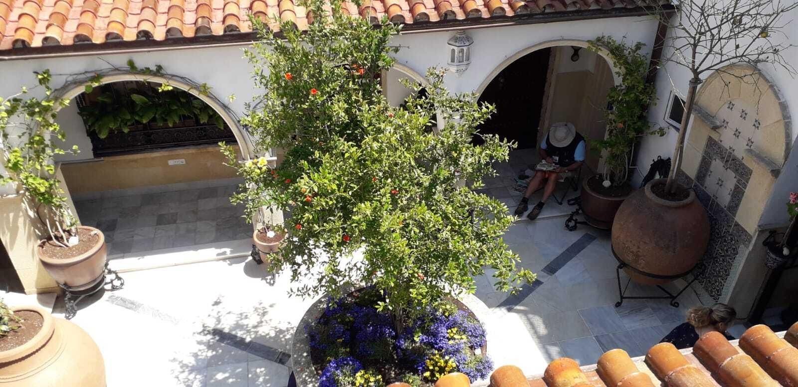 Los patios de El Puerto, en imágenes