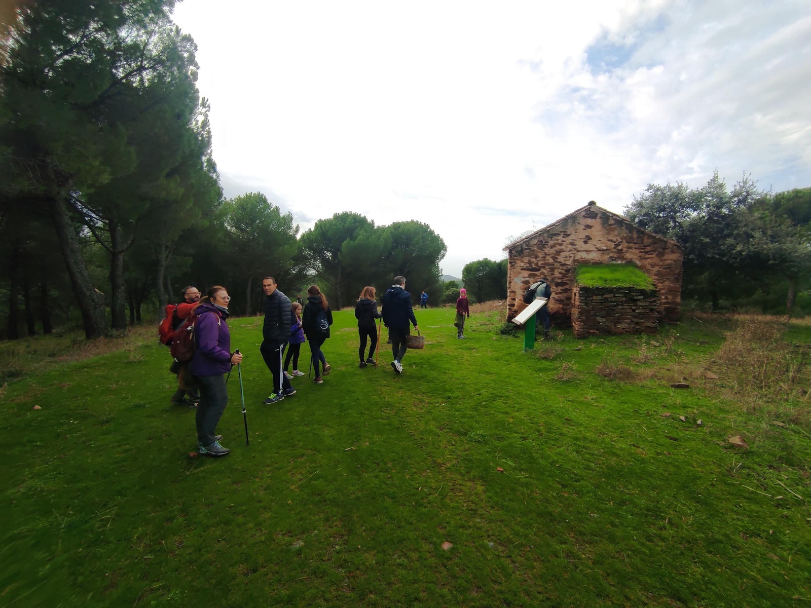 Ruta senderista para recolectar hasta diez tipos de setas diferentes en Despeñaperros