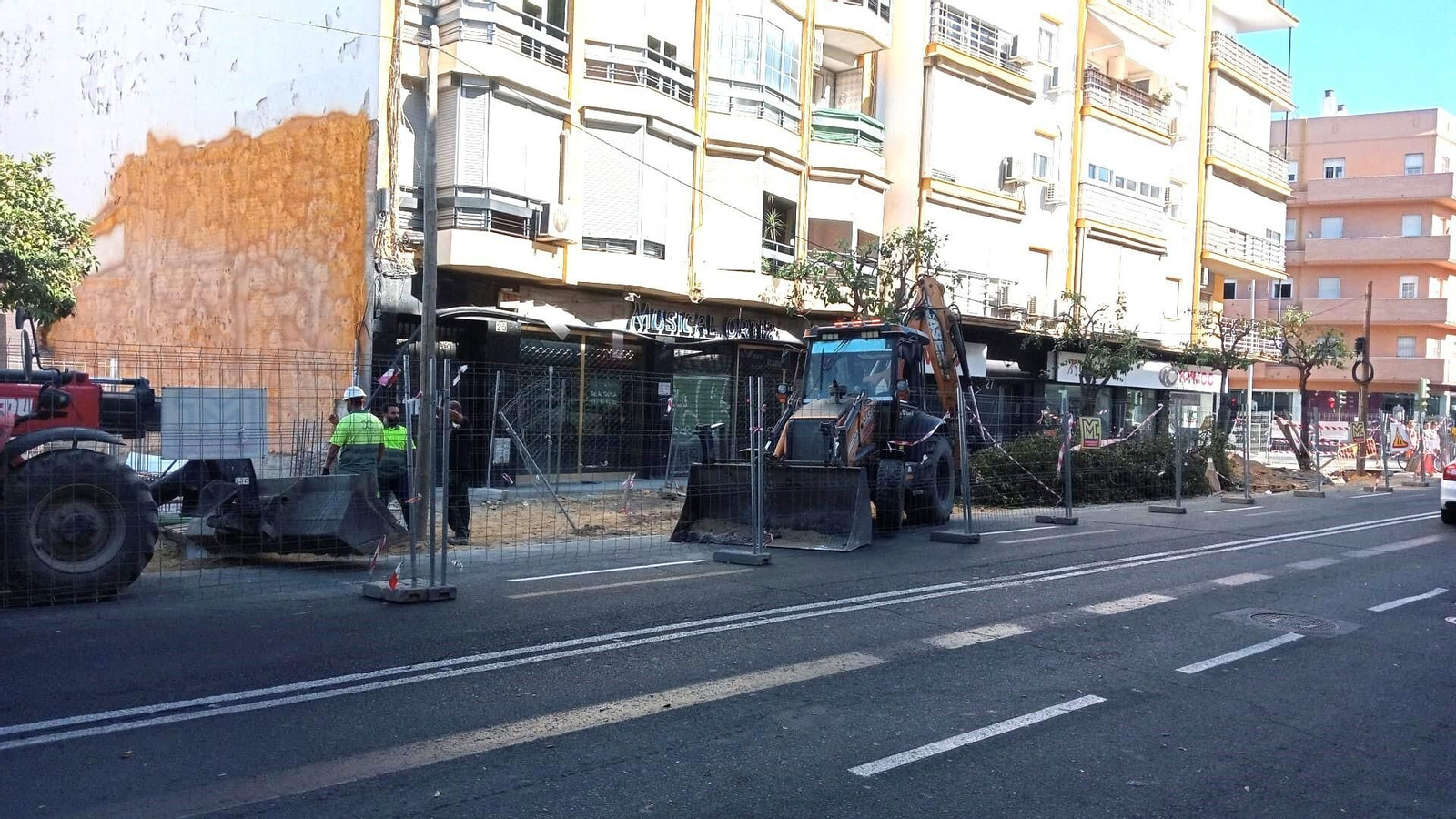 Los naranjos que aún quedaban en pie esta semana, pero fueron talados este jueves.