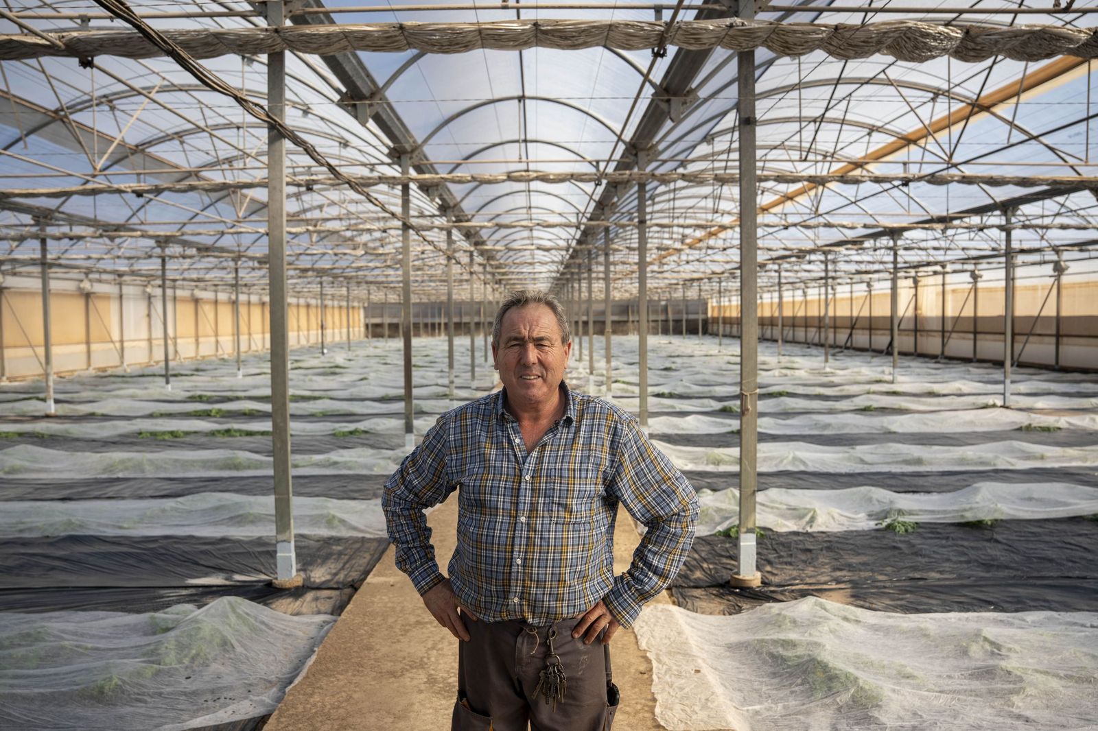 La primavera se planta en invierno entre sandías y tomates almerienses, en imágenes