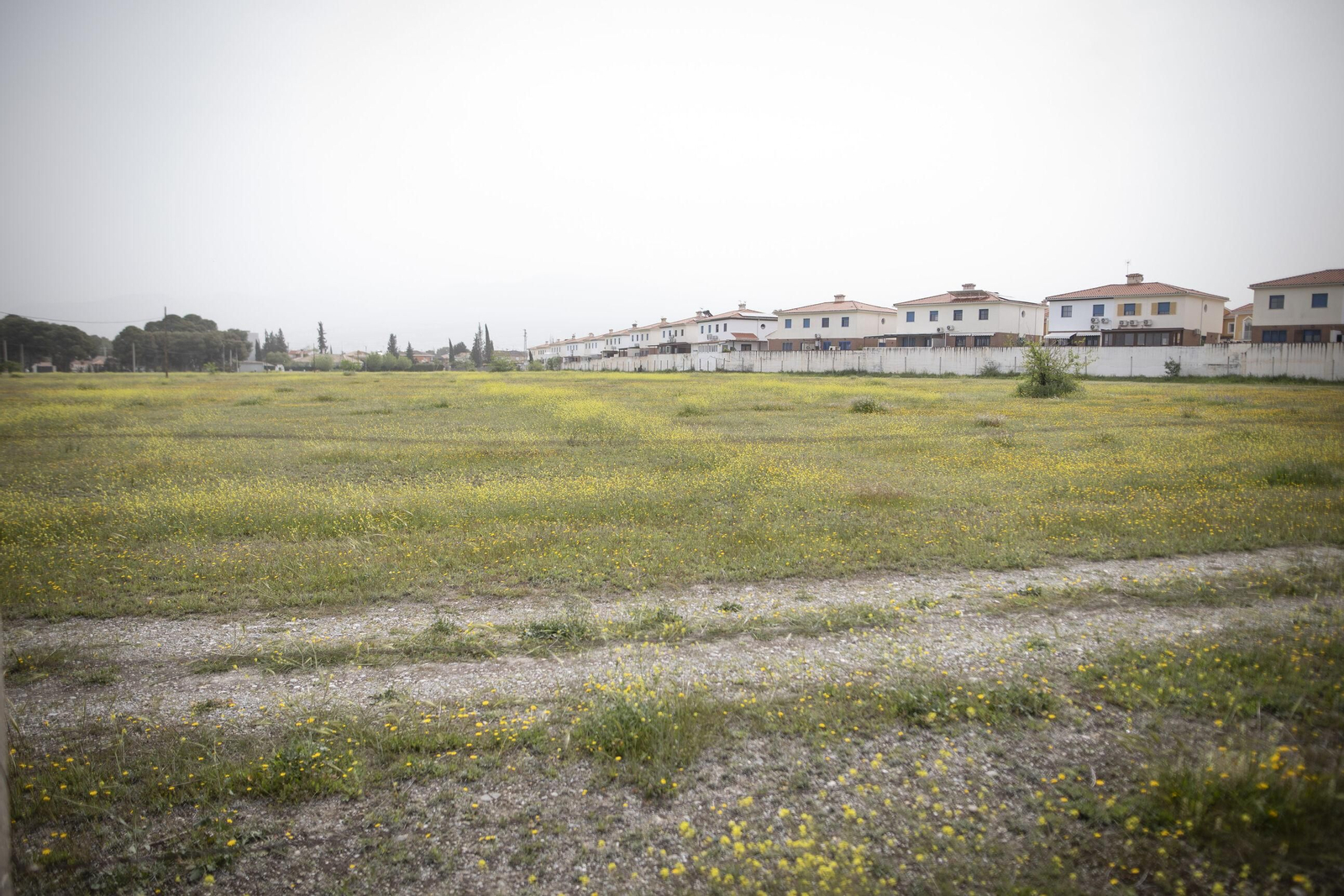 Imagen de los terrenos en los que se quiere construir el parque metropolitano