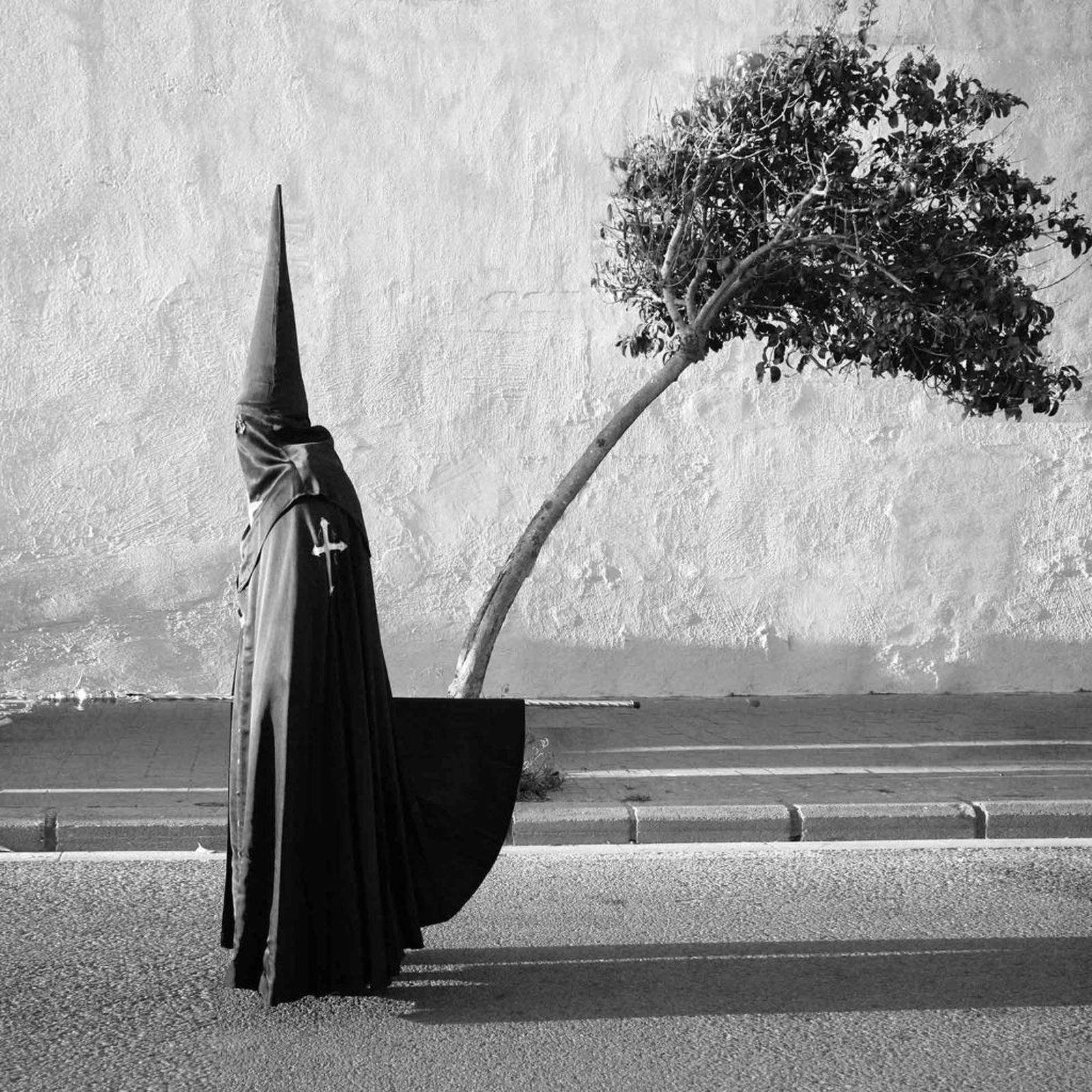 Accésit de la Federación Andaluza de Fotografía. 'Velocidad de crucero'.