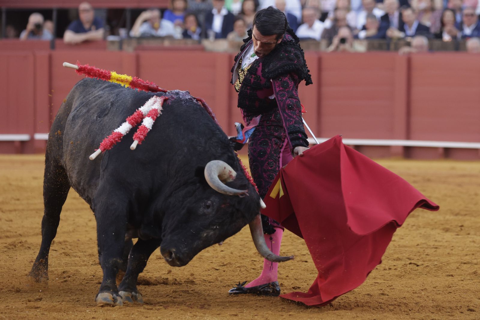 Las imágenes de la corrida de los Victorinos en la Maestranza de Sevilla