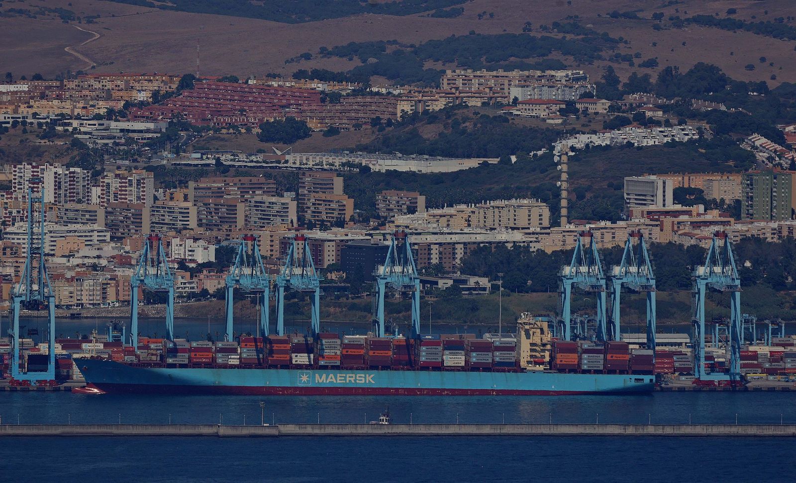 La terminal de APM, en el Puerto de Algeciras.