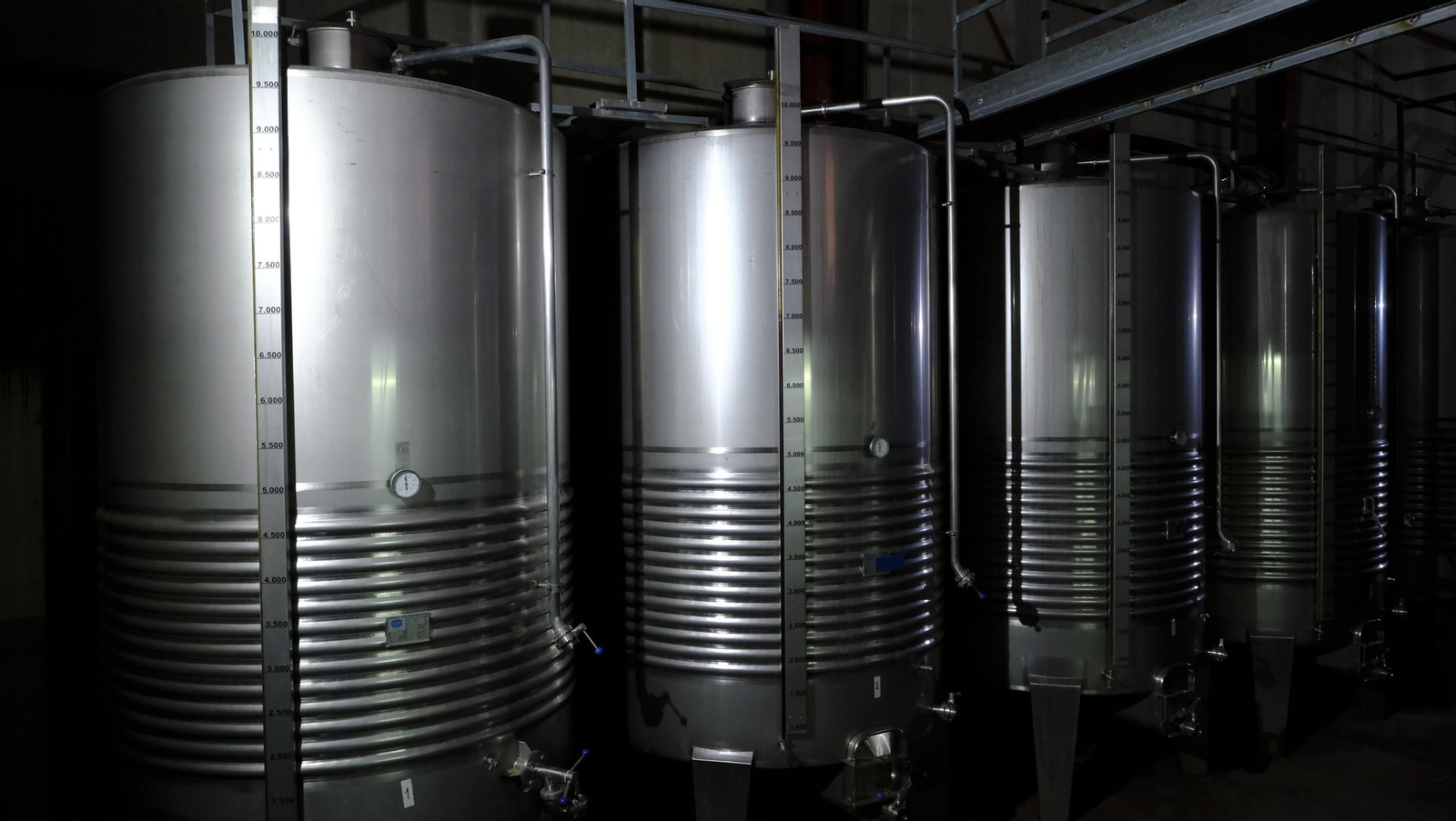 Las imágenes de la vendimia en la zona de Laujar de Andarax