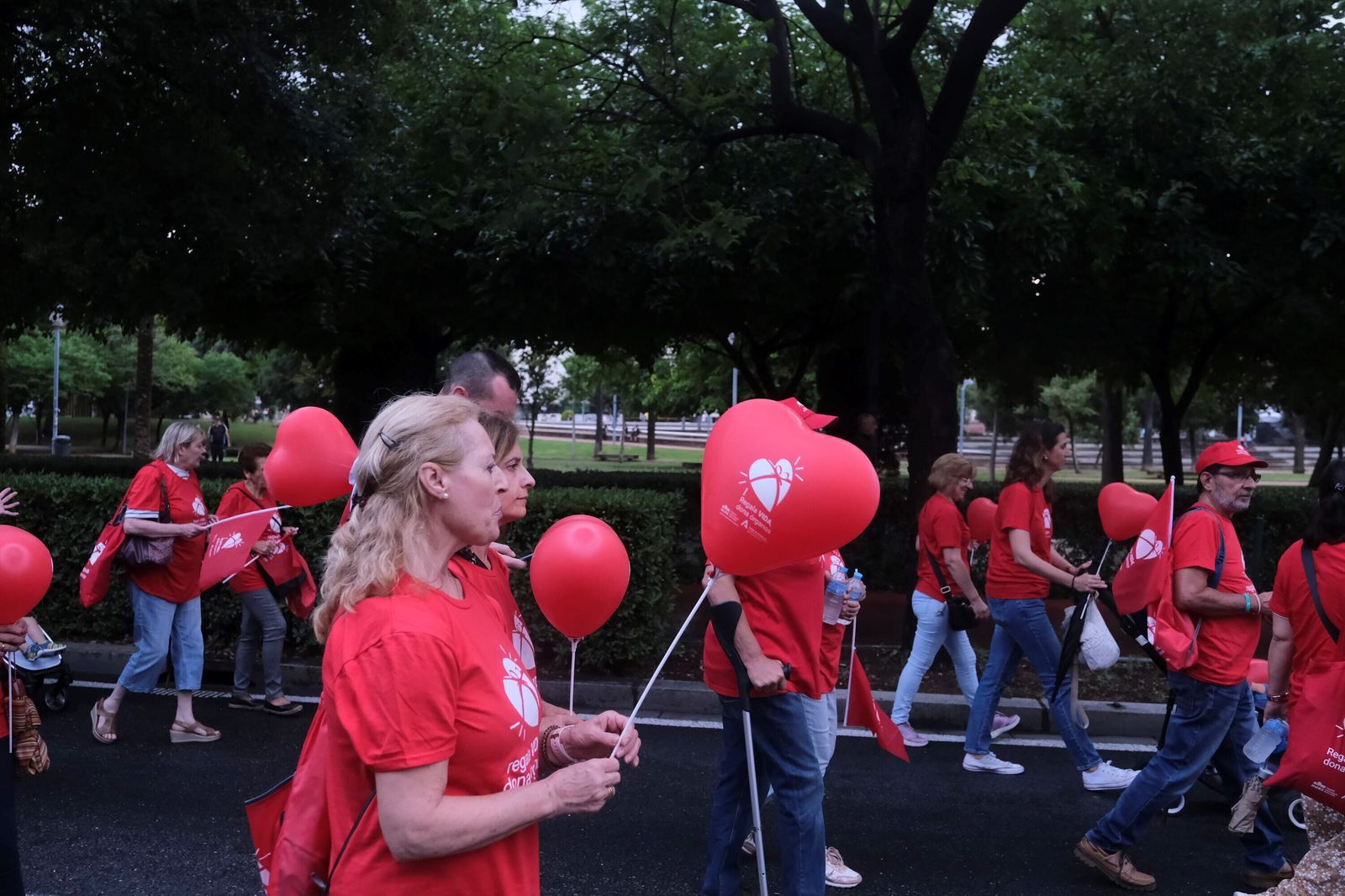 La marcha por la donación tiñe de rojo las calles de Córdoba, en imágenes