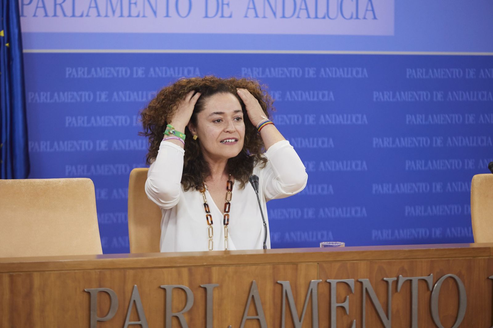 Inmaculada Nieto, en su comparecencia en el Parlamento.