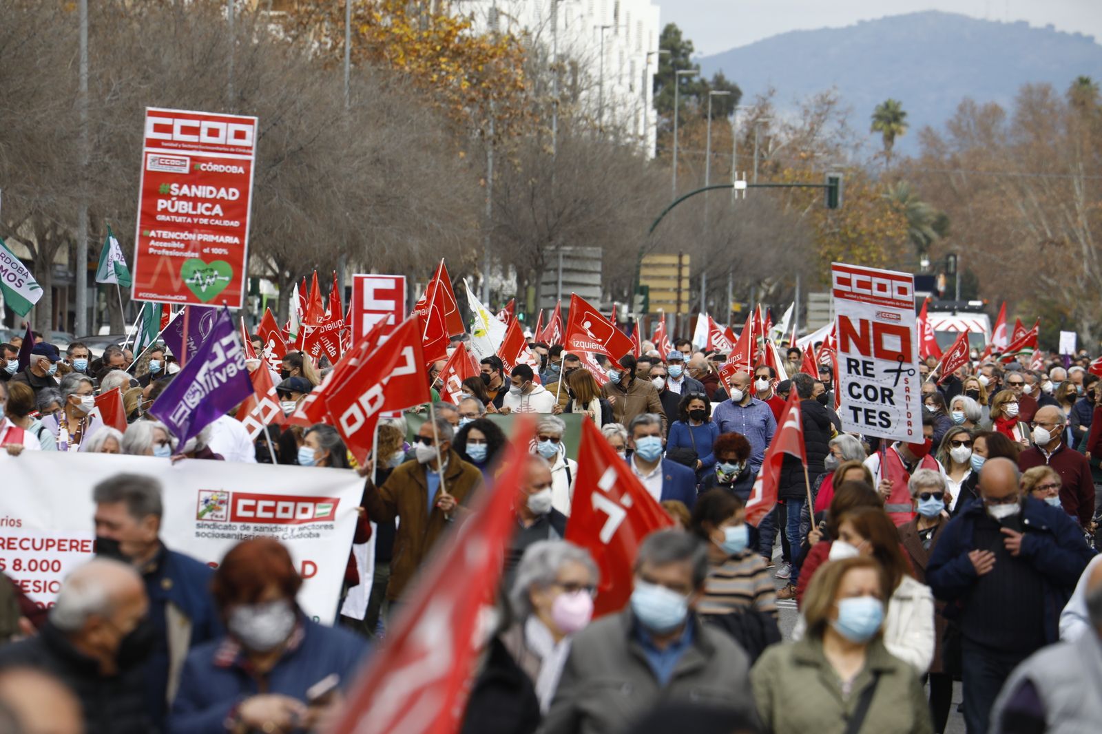Manifestación en defensa de la sanidad pública en Córdoba, en imágenes