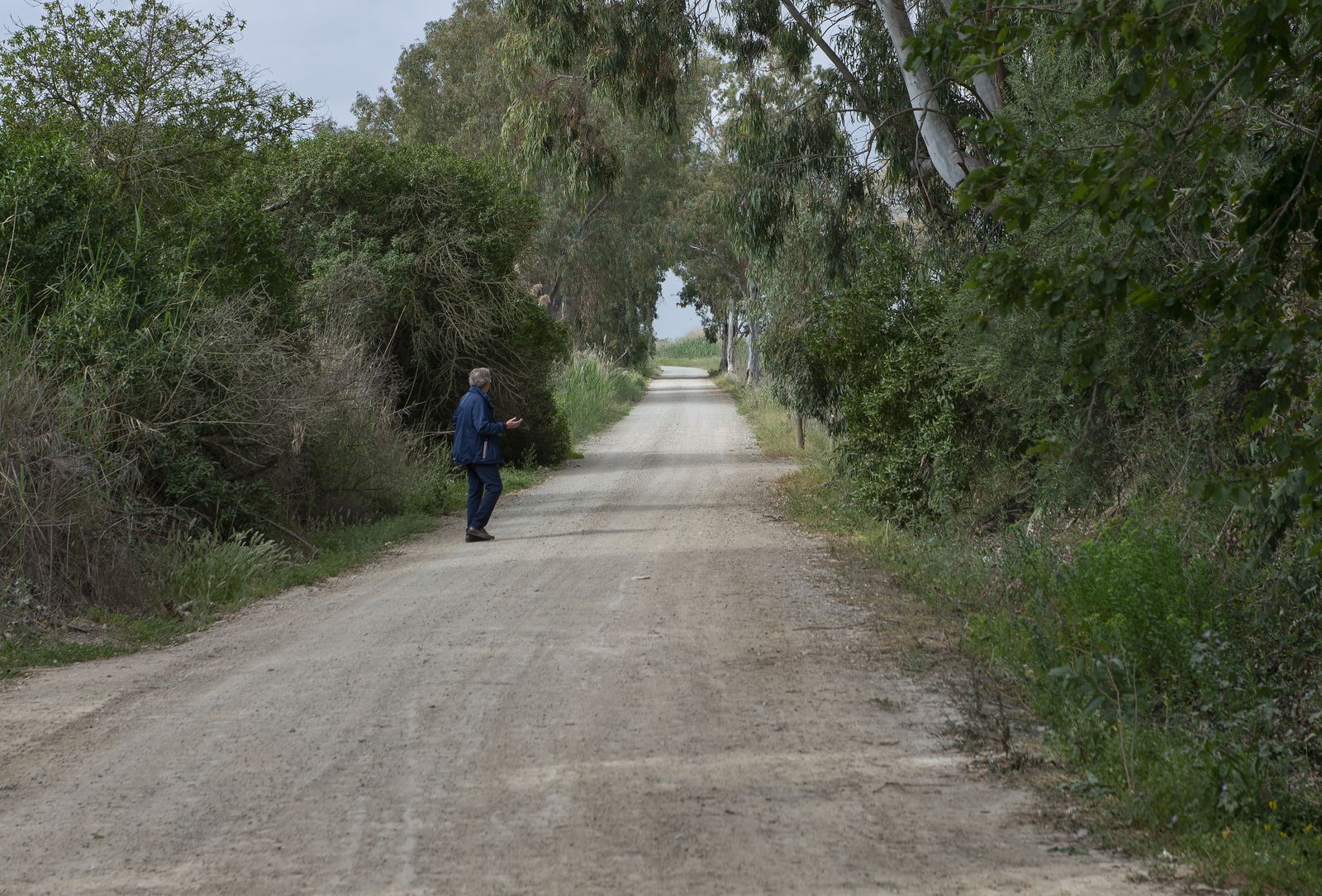 Travesía en barco por el Guadalquivir
