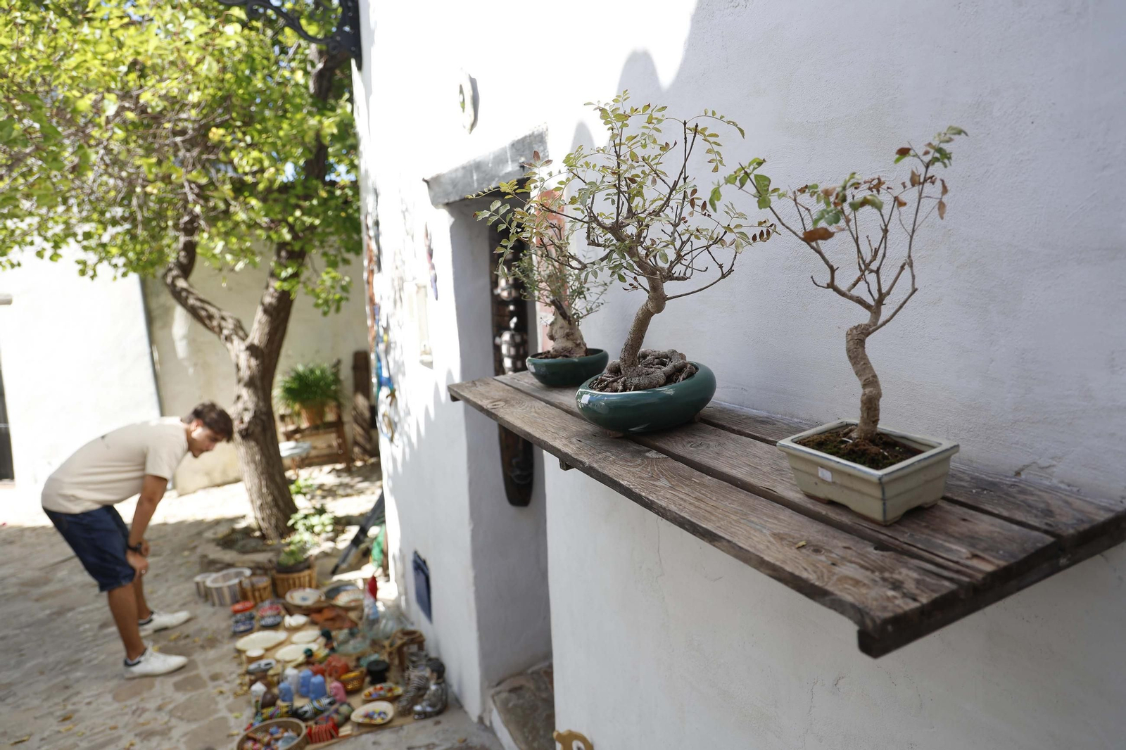 Fotos del Festival Open Arts en el Castillo de Castellar