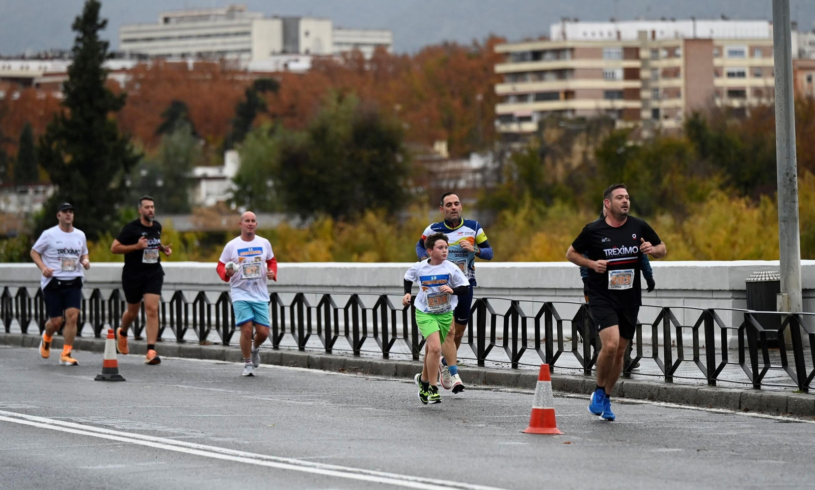 Las mejores fotos de la XII Cordobaria