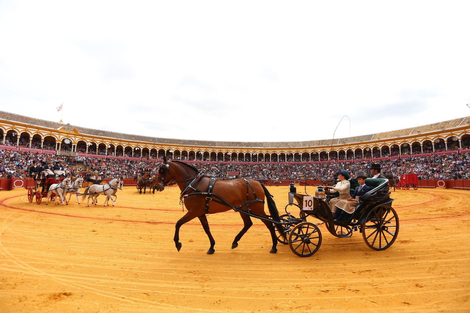 XXXIII Exhibición del Real Club de Enganches de Andalucía en la Maestranza