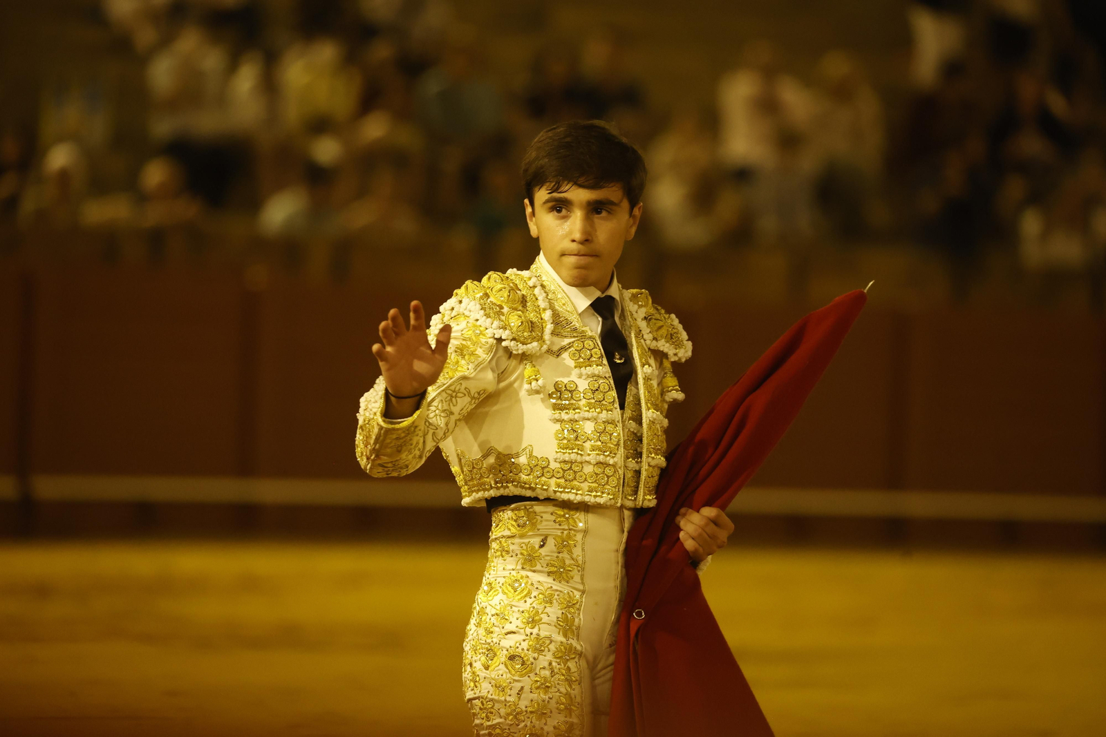 Las imágenes de la novillada en la Maestranza