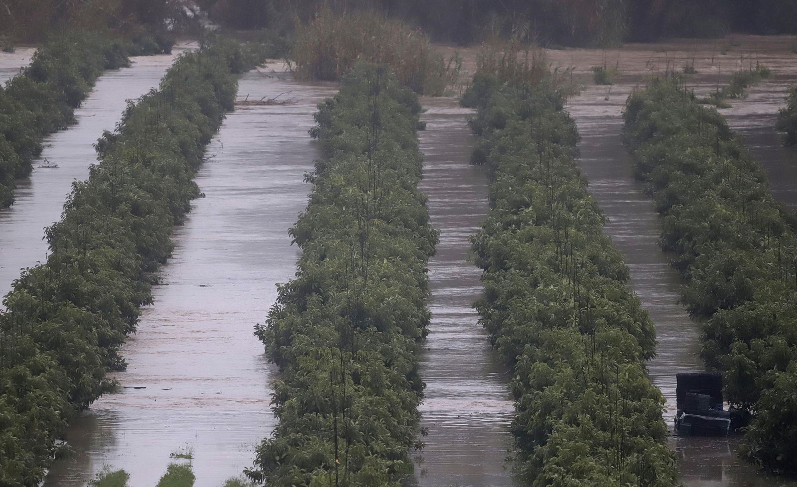 Fotos del temporal de lluvia y viento por la borrasca Kristin en Jimena de la Frontera, San Pablo de Buceite y San Martín del Tesorillo