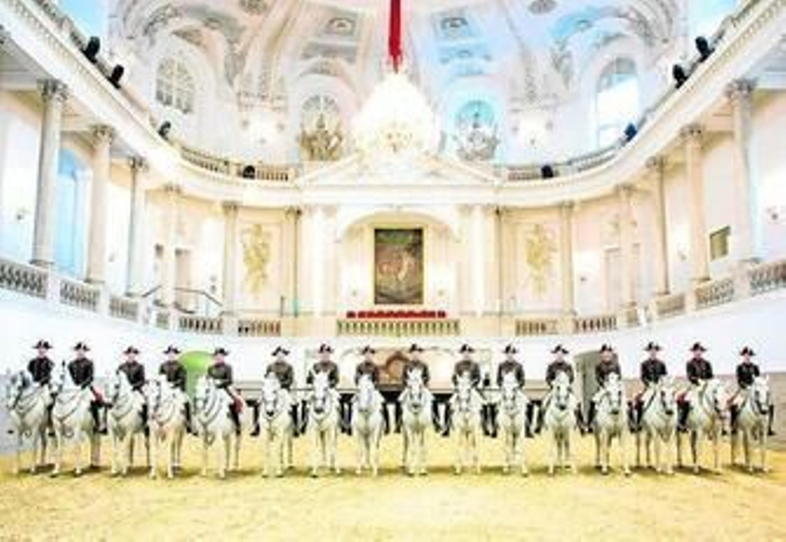 Lipizanos de la Escuela de Equitación Española de Viena.